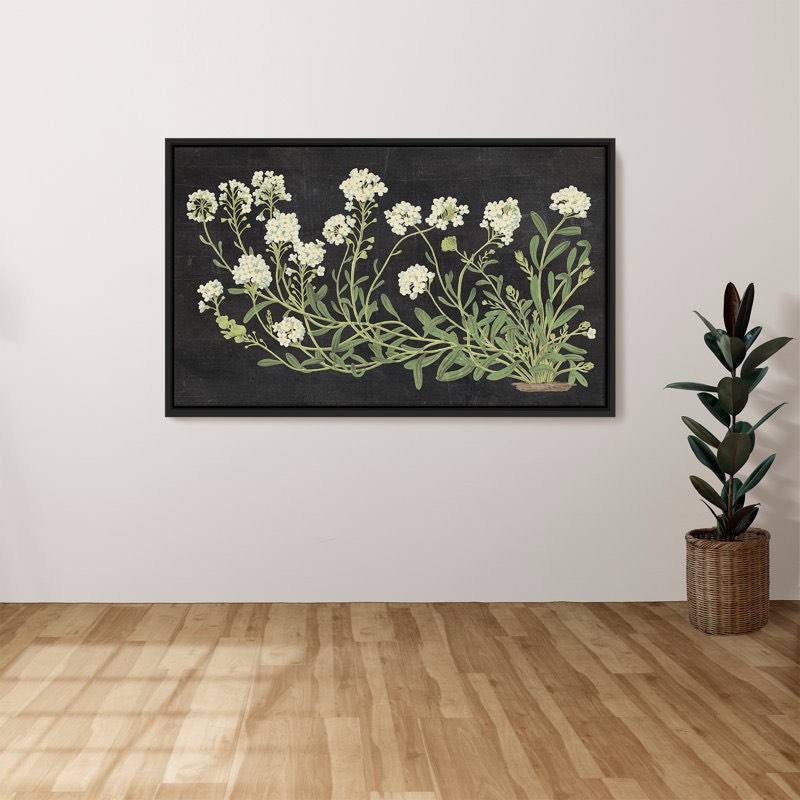 Vintage Flowers on Black" by Wild Apple Portfolio Print on Canvas in a Black Floater Frame 32” x 48”