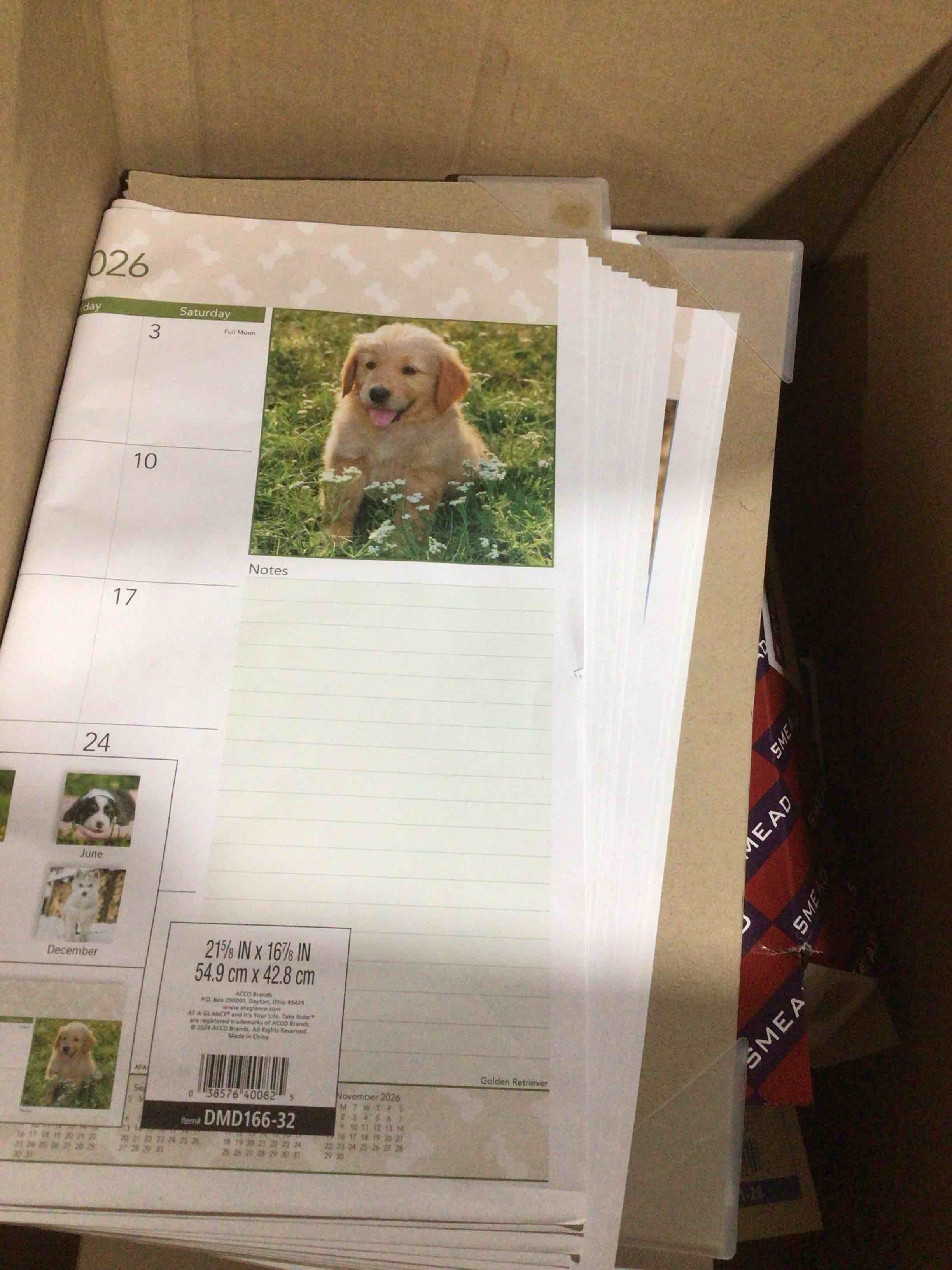 office supplies box, puppy calendar, poly pockets plastic folders, pens and more