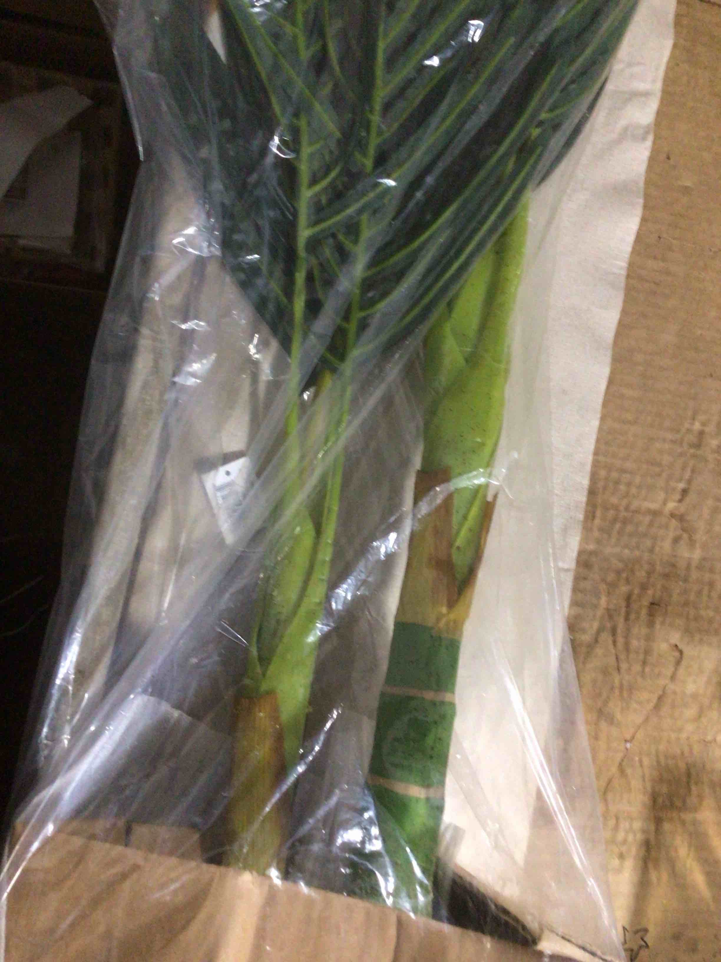 Condition photo showing New/Like New for artificial decorative plant, potted faux palm (similar)