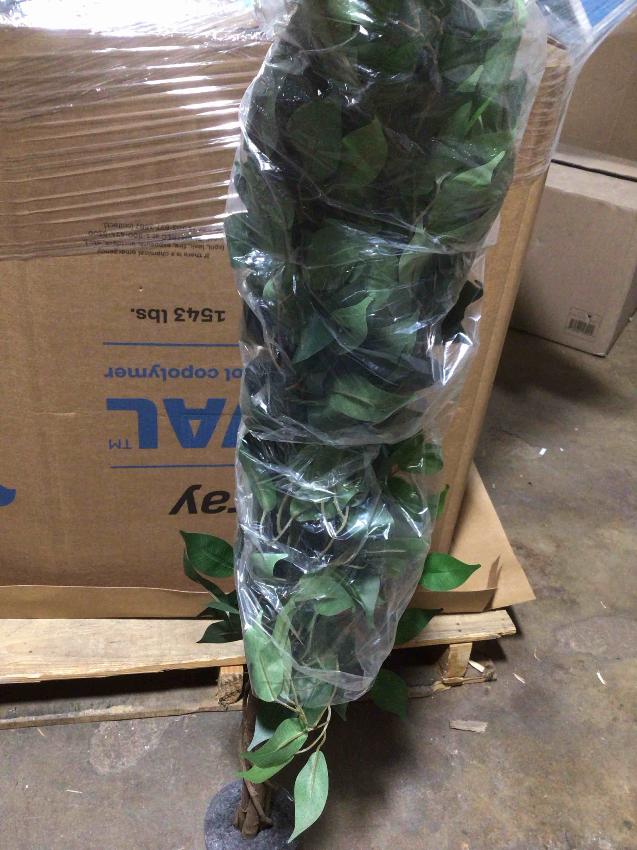 Condition photo showing As Is for faux fake tree indoor decoration 