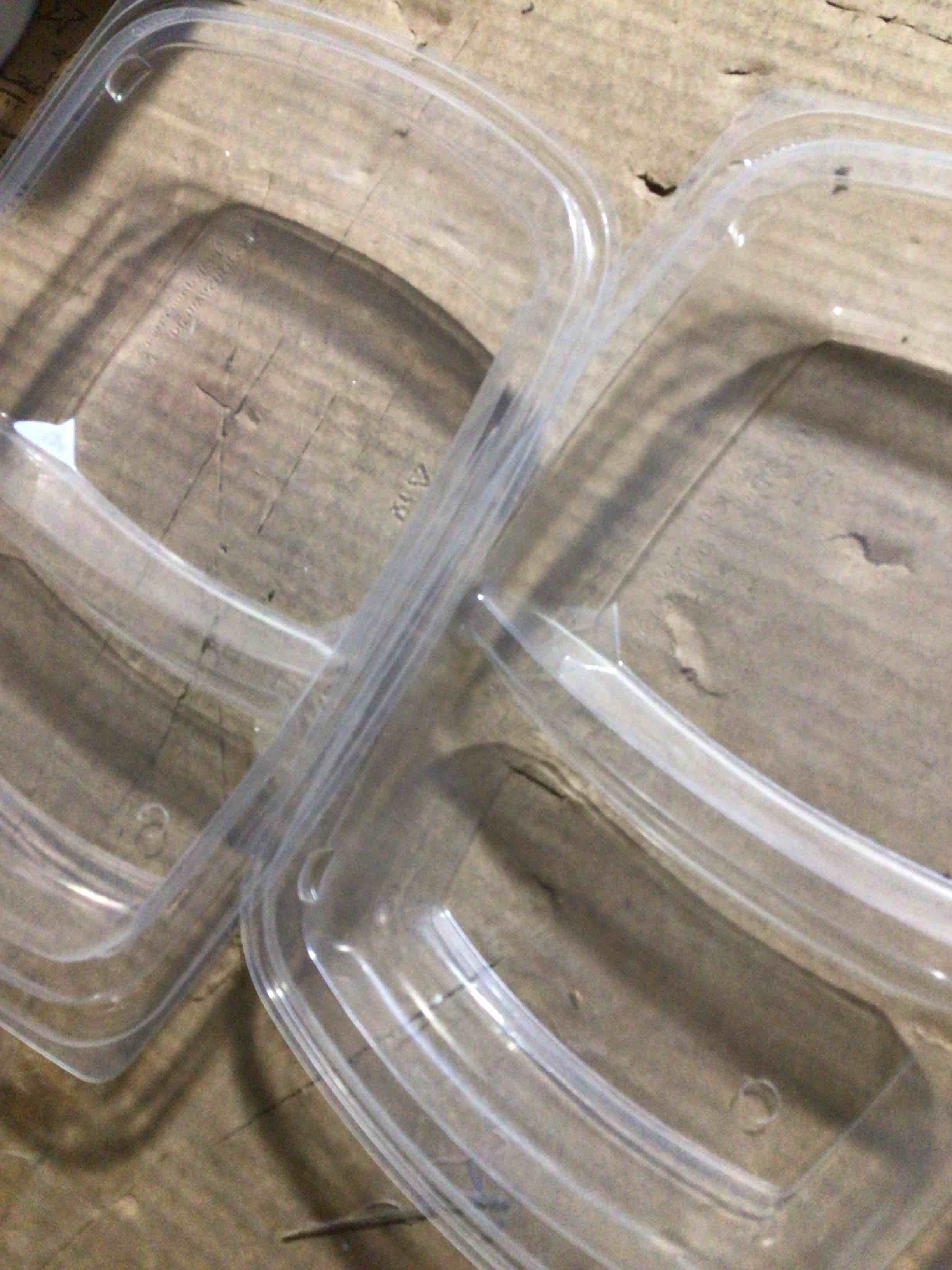 Condition photo showing New/Like New for clear plastic food plates, SABERT plastic food storage containers 