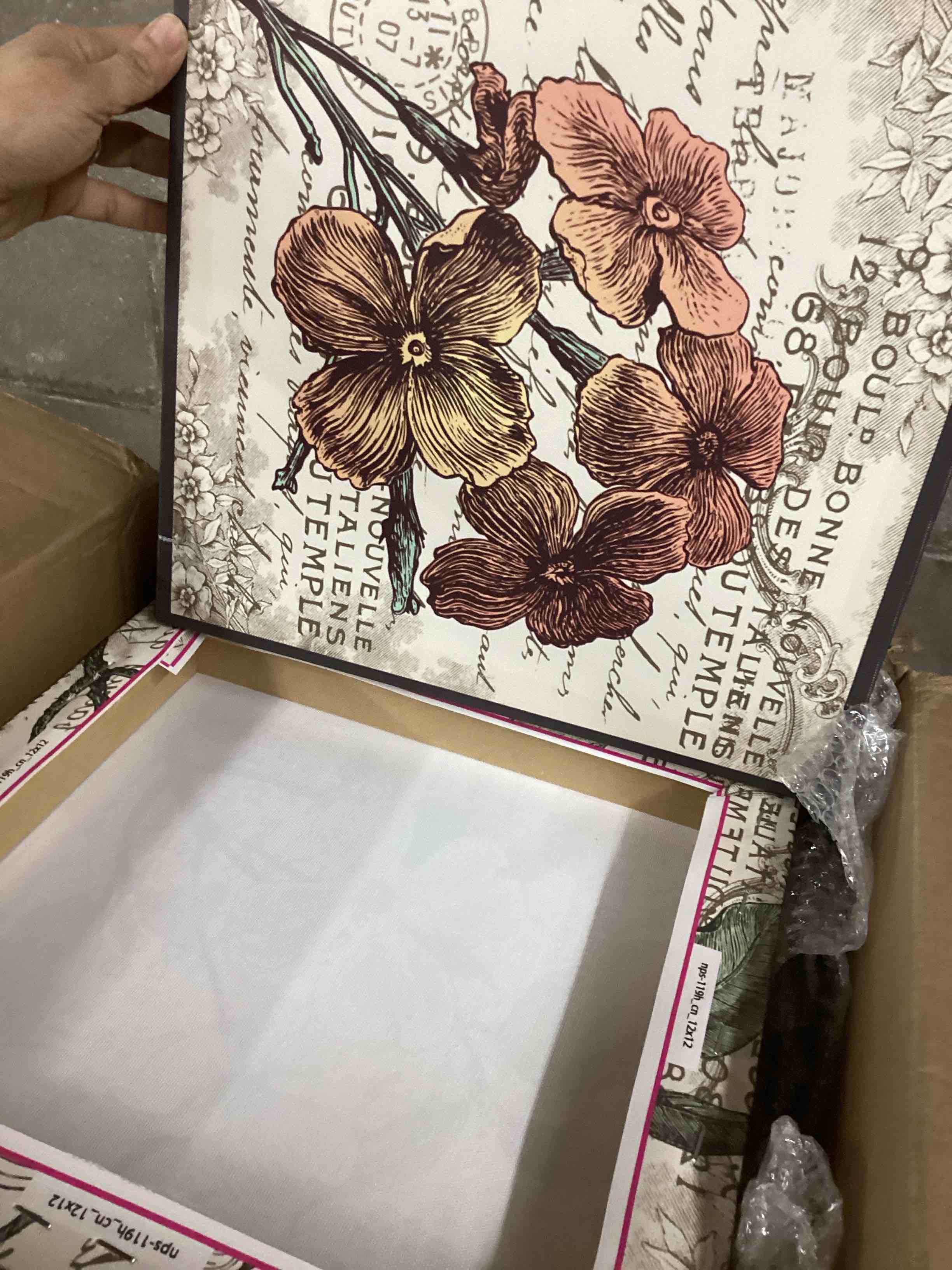 Condition photo showing Good Condition for Stupell Industries French Botanical Illustrations by in House Art, 9pc Canvas Wall Art Set, Proudly Made in USA