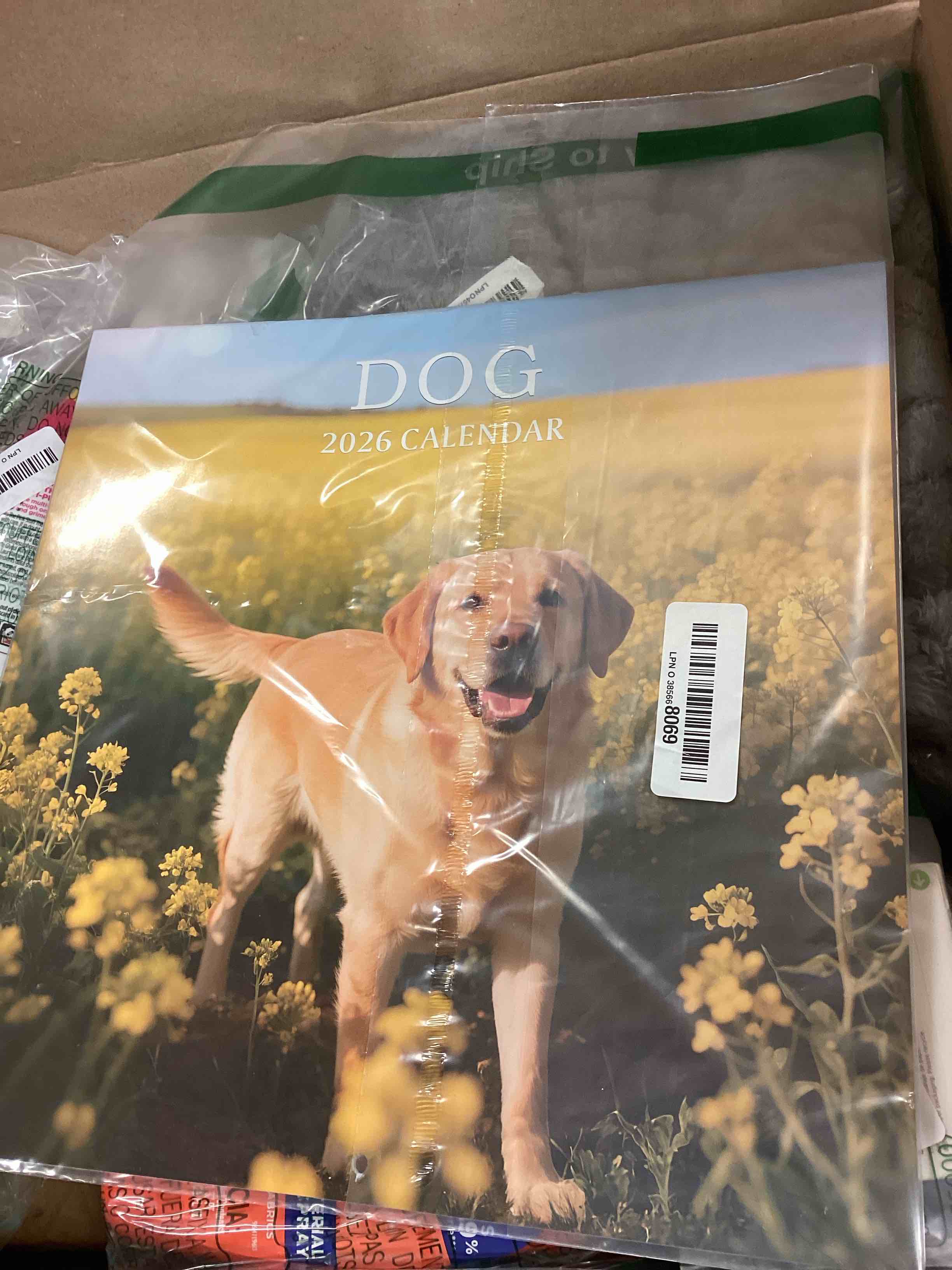 Condition photo showing New/Like New for 2026 Calendar, Wall Calendar 2026, Dogs 12 Month Wall Calendars (Jan - Dec 2026) 12" x 24" Opened, Hanging Monthly Calendar Thick Paper for Kids Family Adults Office Home Dog 12"x12"(Jan 2026-Dec 2026?