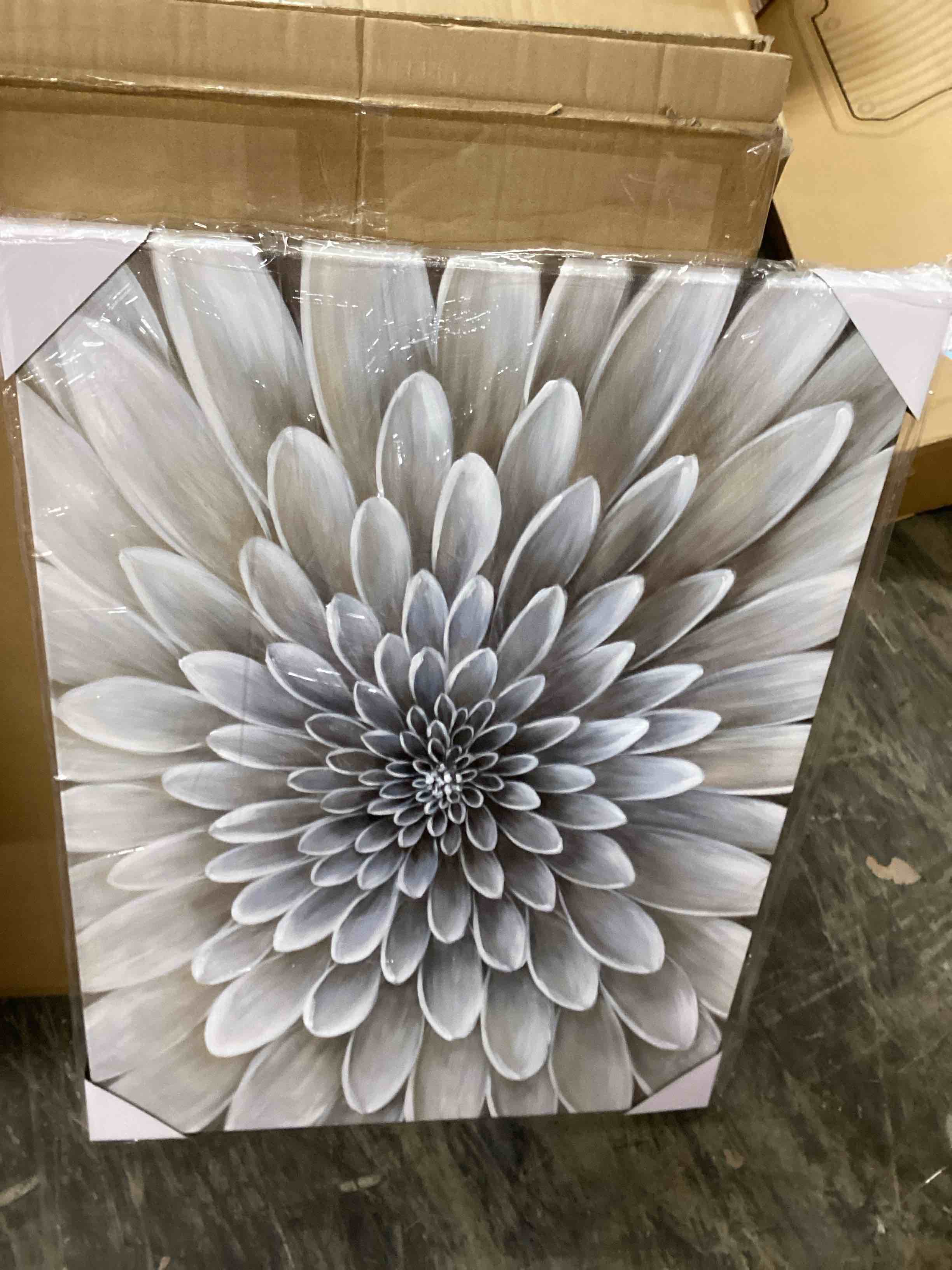 Condition photo showing Good Condition for Yihui Arts White Flower Canvas Wall Art Painting, Floral Canvas Pictures Aesthetic Botanical Artwork for Bedroom Living Room Bathroom Decor 28"L x 20"W Flower Arts