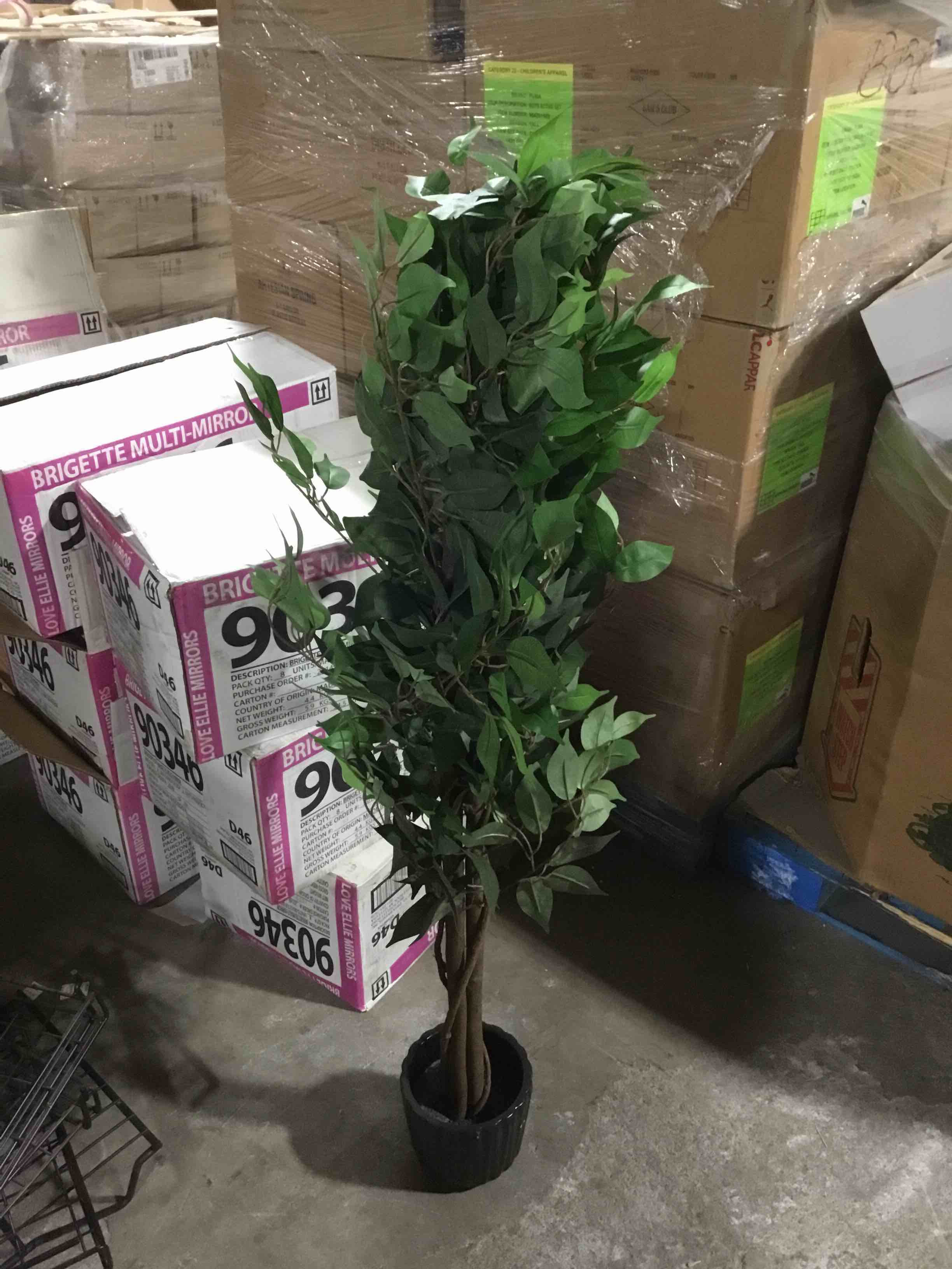 Condition photo showing Good Condition for Nearly Natural 4ft. Ficus Artificial Tree, Green
