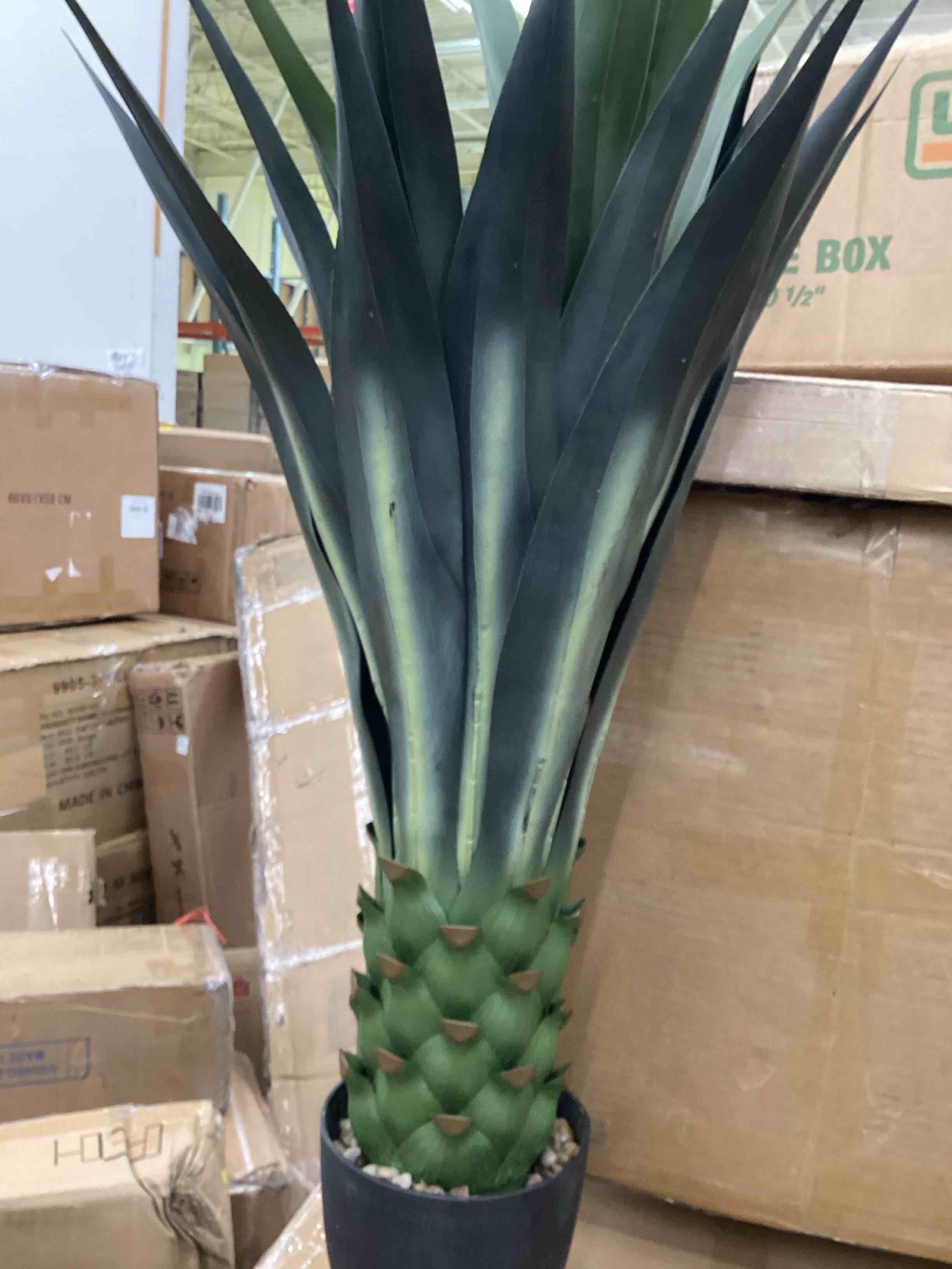 Condition photo showing As Is for nearly natural 4 ft. artificial spiked agave plant