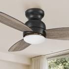 ceiling fan with light
