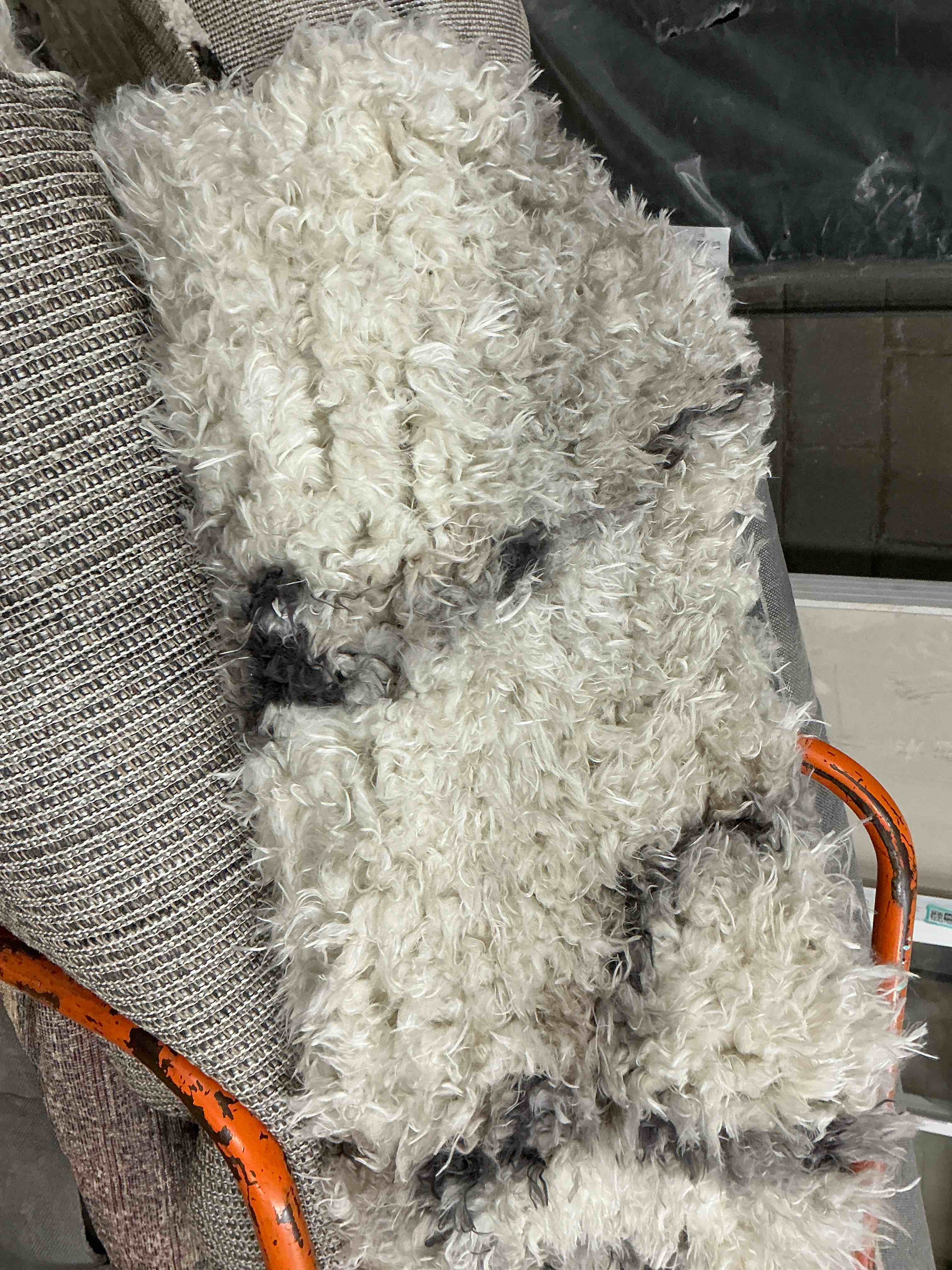 Condition photo showing As Is for amira ami-02 ivory/bark shag area rug