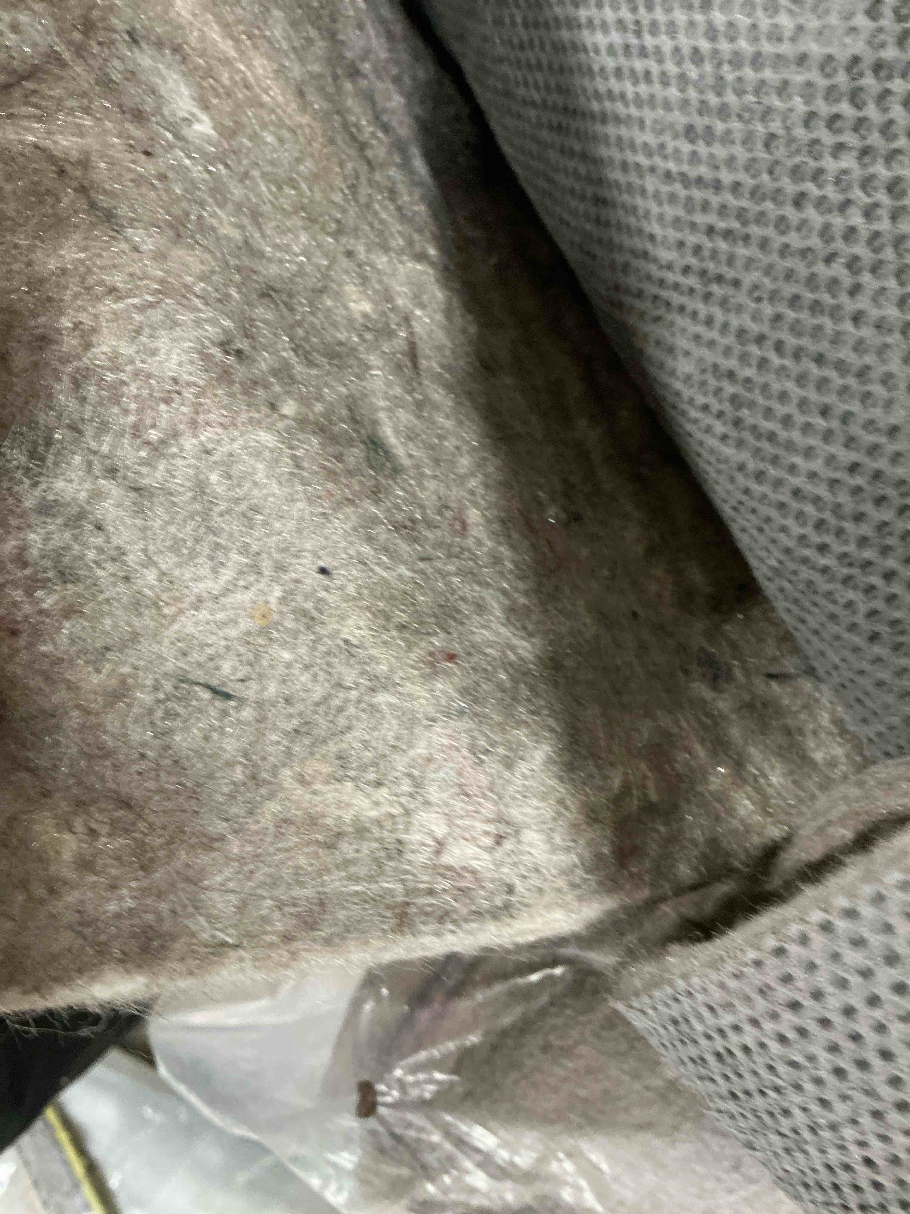 Condition photo showing Good Condition for rugpadusa - basics - thick - 100% felt - protective cushioning rug pad - safe for all floors and finishes including hardwoods