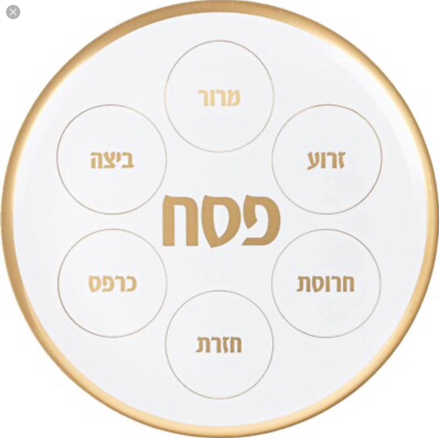 6-14-inch Round, White, and Gold Disposable Seder Plate from Simcha Collection 