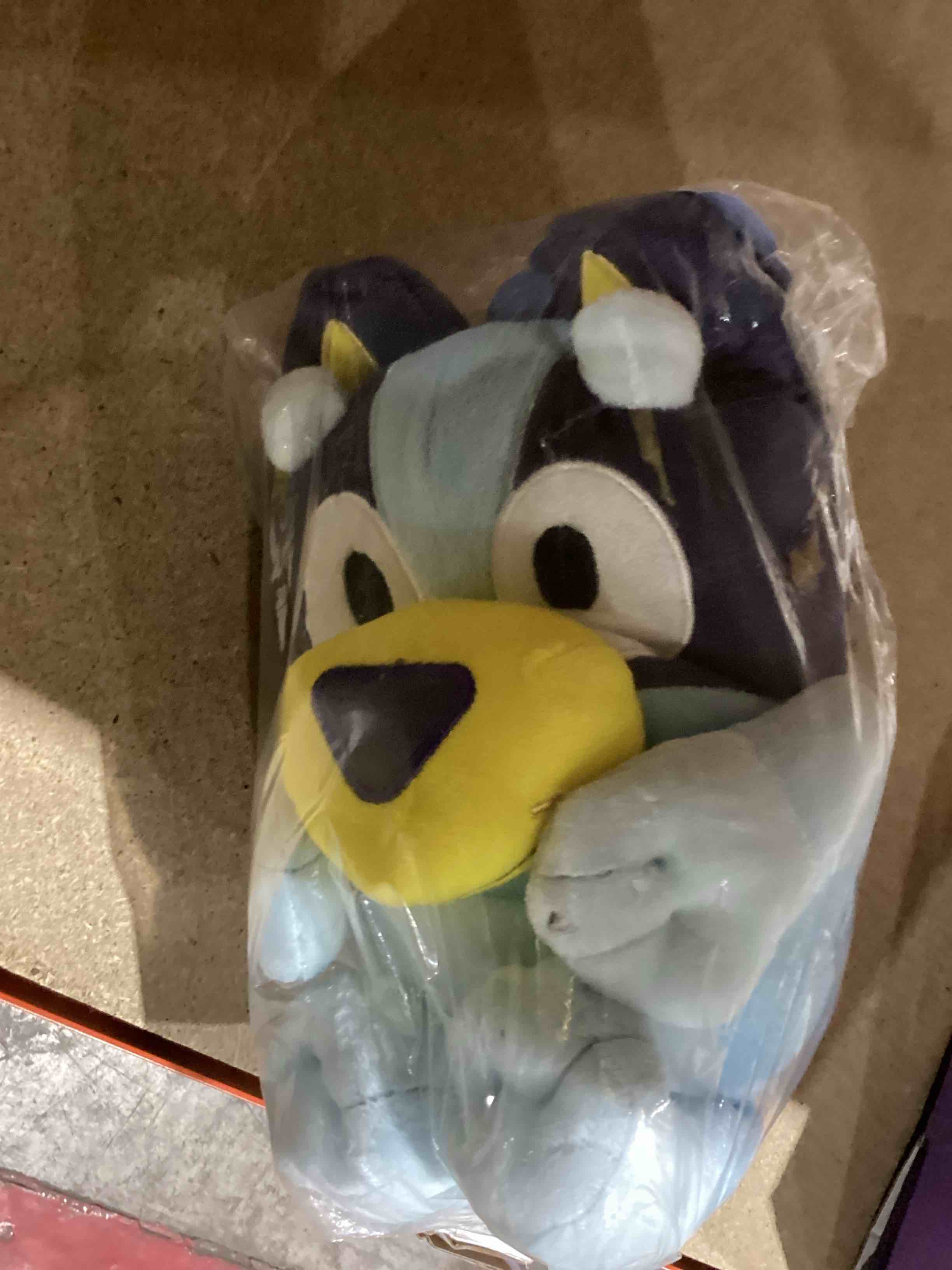jay franco bluey and bingo 40 x 50 inch plush 