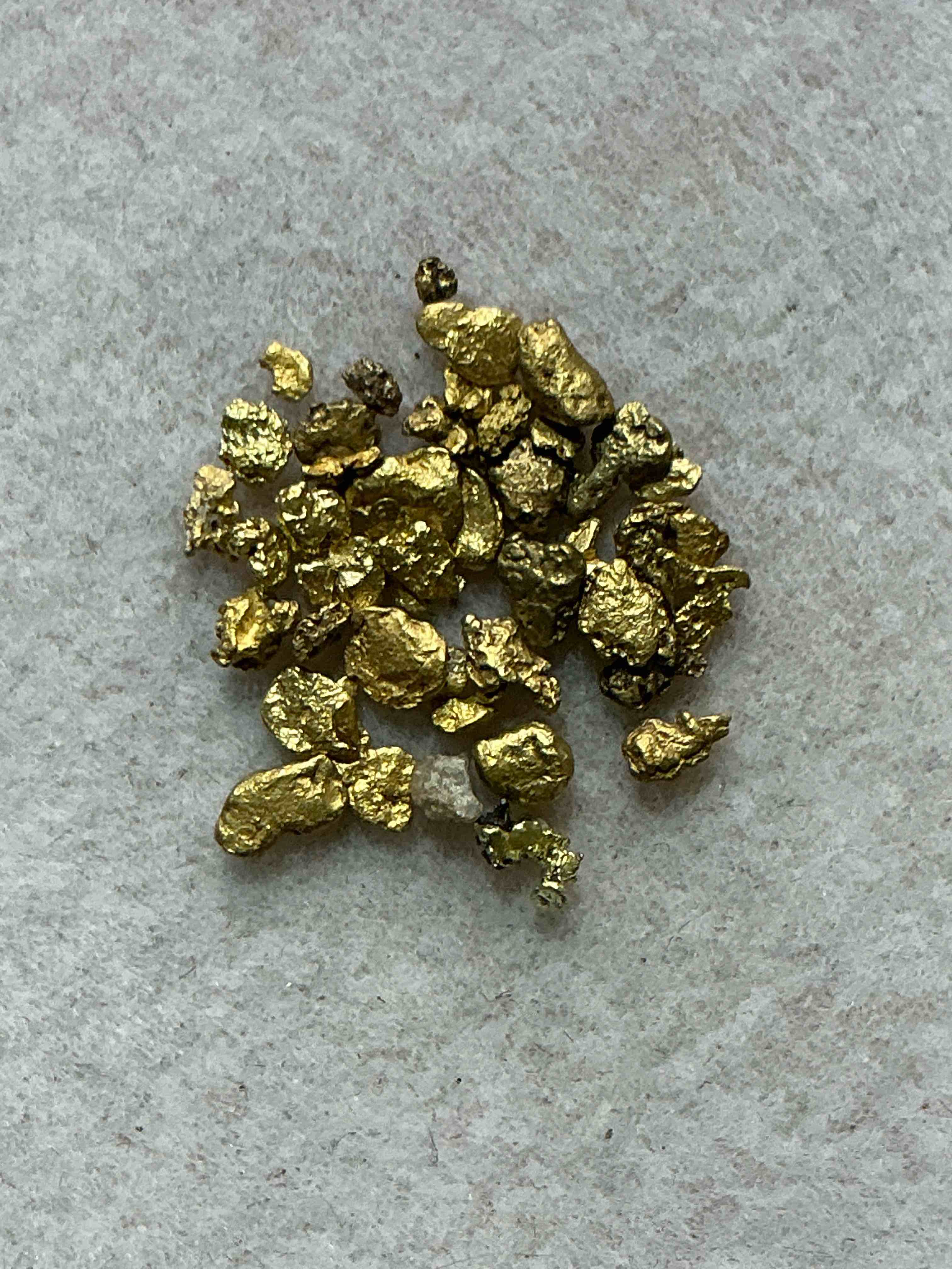 genuine gold nuggets! approximately 1 gram of prospected gold nuggets! gold nuggets fresh from prospecting north carolina mountains, total weight of all nuggets is approximately 1 gram! these gold nuggets test at between approx 22-24 karat. gold in raw, prospected form is extremely hard to find & much rarer than any refined form. get in on the gold craze... gold has increased in value over 40% since 2025! u.s. dime for size reference only (not included). case in image included. own genuine, gold nuggets!