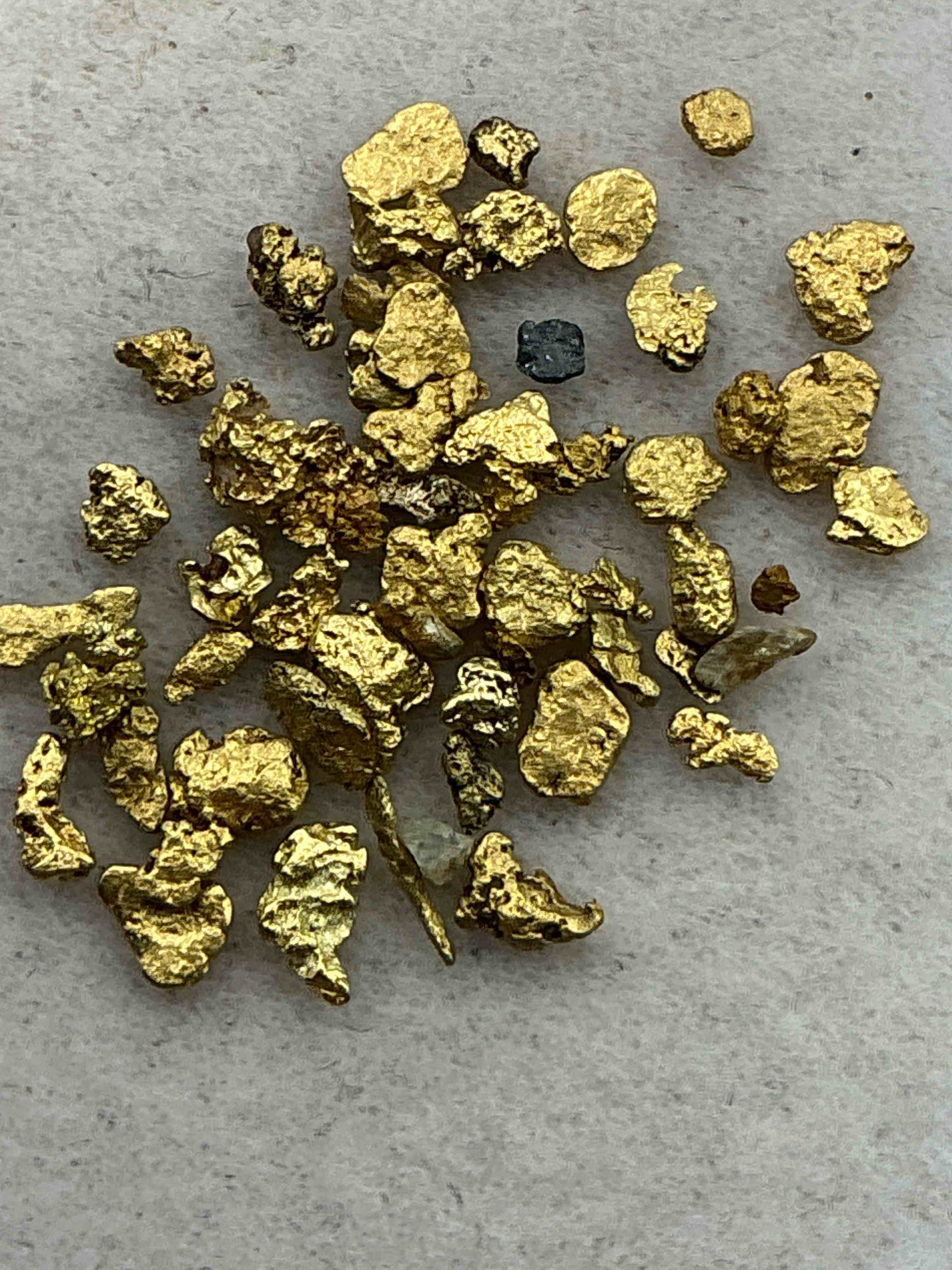 genuine gold nuggets! approximately 1 gram of prospected gold nuggets! gold nuggets fresh from prospecting north carolina mountains, total weight of all nuggets is approximately 1 gram! these gold nuggets test at between approx 22-24 karat. gold in raw, prospected form is extremely hard to find & much rarer than any refined form. get in on the gold craze... gold has increased in value over 40% since 2025! u.s. dime for size reference only (not included). case in image included. own genuine, gold nuggets!