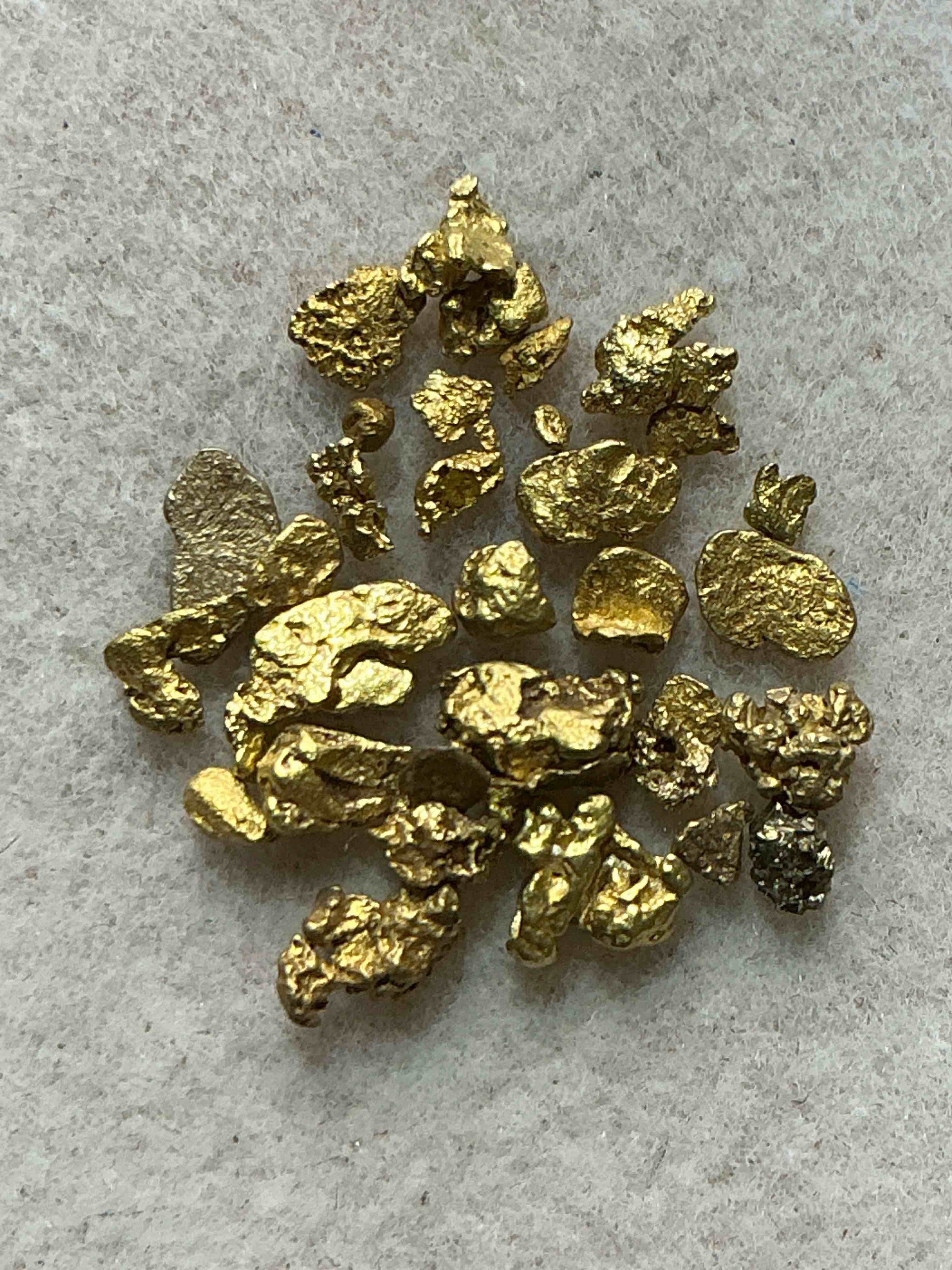 genuine gold nuggets! approximately 1 gram of prospected gold nuggets! gold nuggets fresh from prospecting north carolina mountains, total weight of all nuggets is approximately 1 gram! these gold nuggets test at between approx 22-24 karat. gold in raw, prospected form is extremely hard to find & much rarer than any refined form. get in on the gold craze... gold has increased in value over 40% since 2025! u.s. dime for size reference only (not included). case in image included. own genuine, gold nuggets!