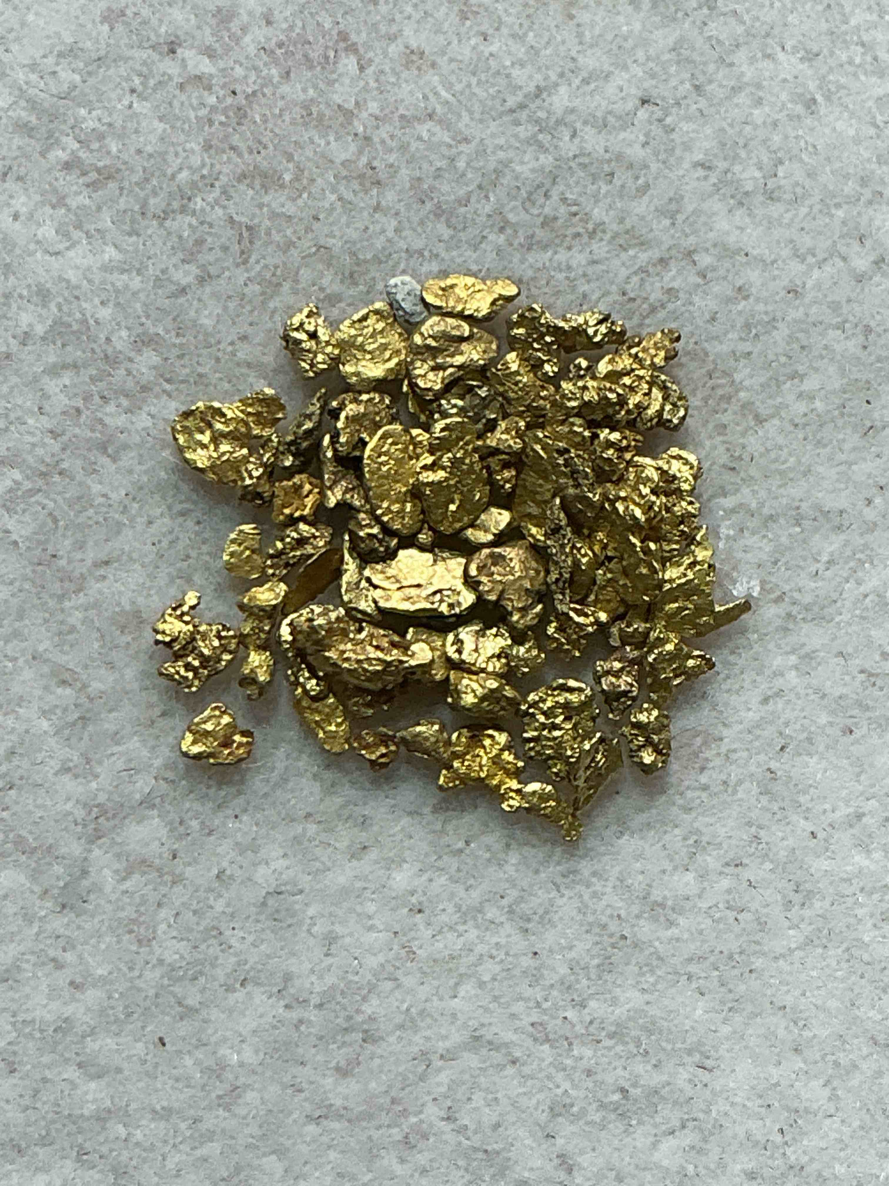 genuine gold nuggets! approximately 1 gram of prospected gold nuggets! gold nuggets fresh from prospecting north carolina mountains, total weight of all nuggets is approximately 1 gram! these gold nuggets test at between approx 22-24 karat. gold in raw, prospected form is extremely hard to find & much rarer than any refined form. get in on the gold craze... gold has increased in value over 40% since 2025! u.s. dime for size reference only (not included). case in image included. own genuine, gold nuggets!
