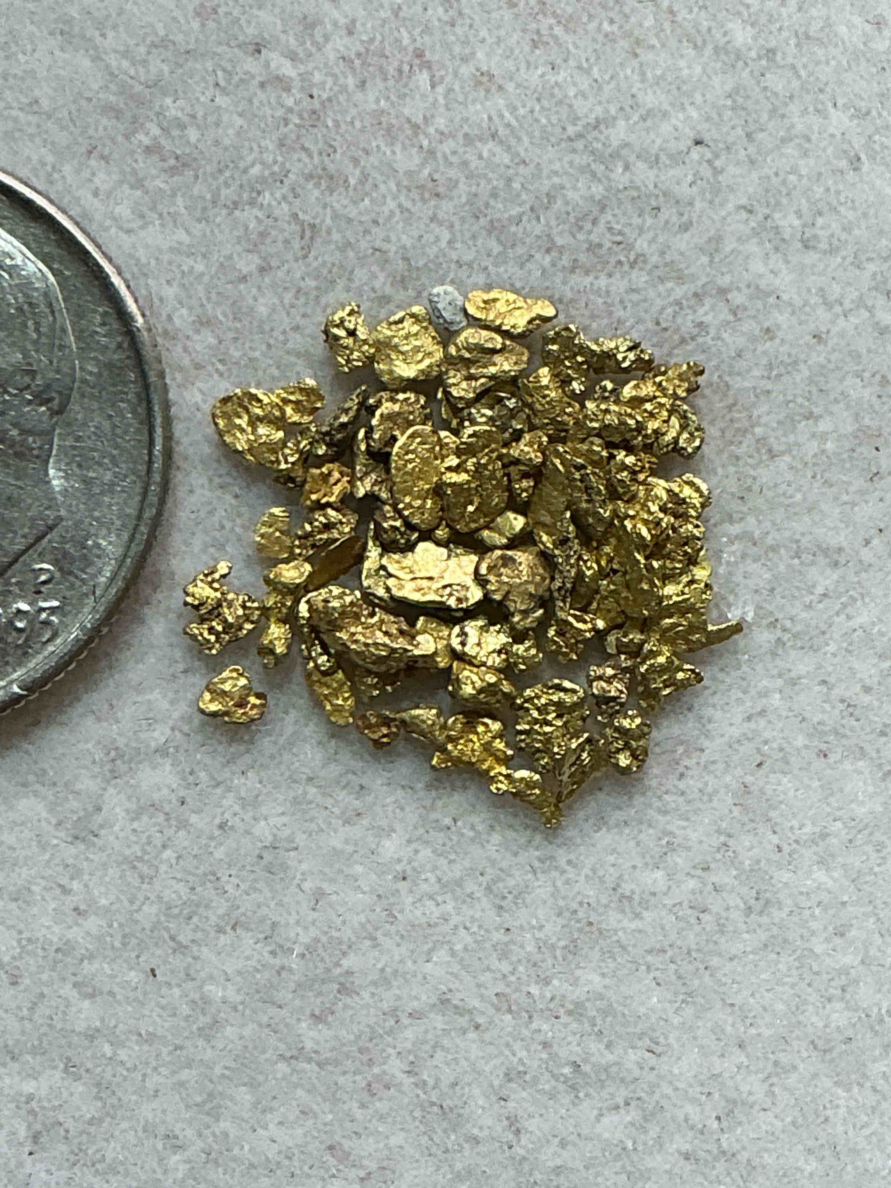 Condition photo showing New/Like New for genuine gold nuggets!  approximately 1 gram of prospected gold nuggets! gold nuggets fresh from prospecting north carolina mountains, total weight of all nuggets is approximately 1 gram! these gold nuggets test at between approx 22-24 karat. gold in raw, prospected form is extremely hard to find & much rarer than any refined form. get in on the gold craze... gold has increased in value over 40% since 2025! u.s. dime for size reference only (not included). case in image included. own genuine, gold nuggets! 