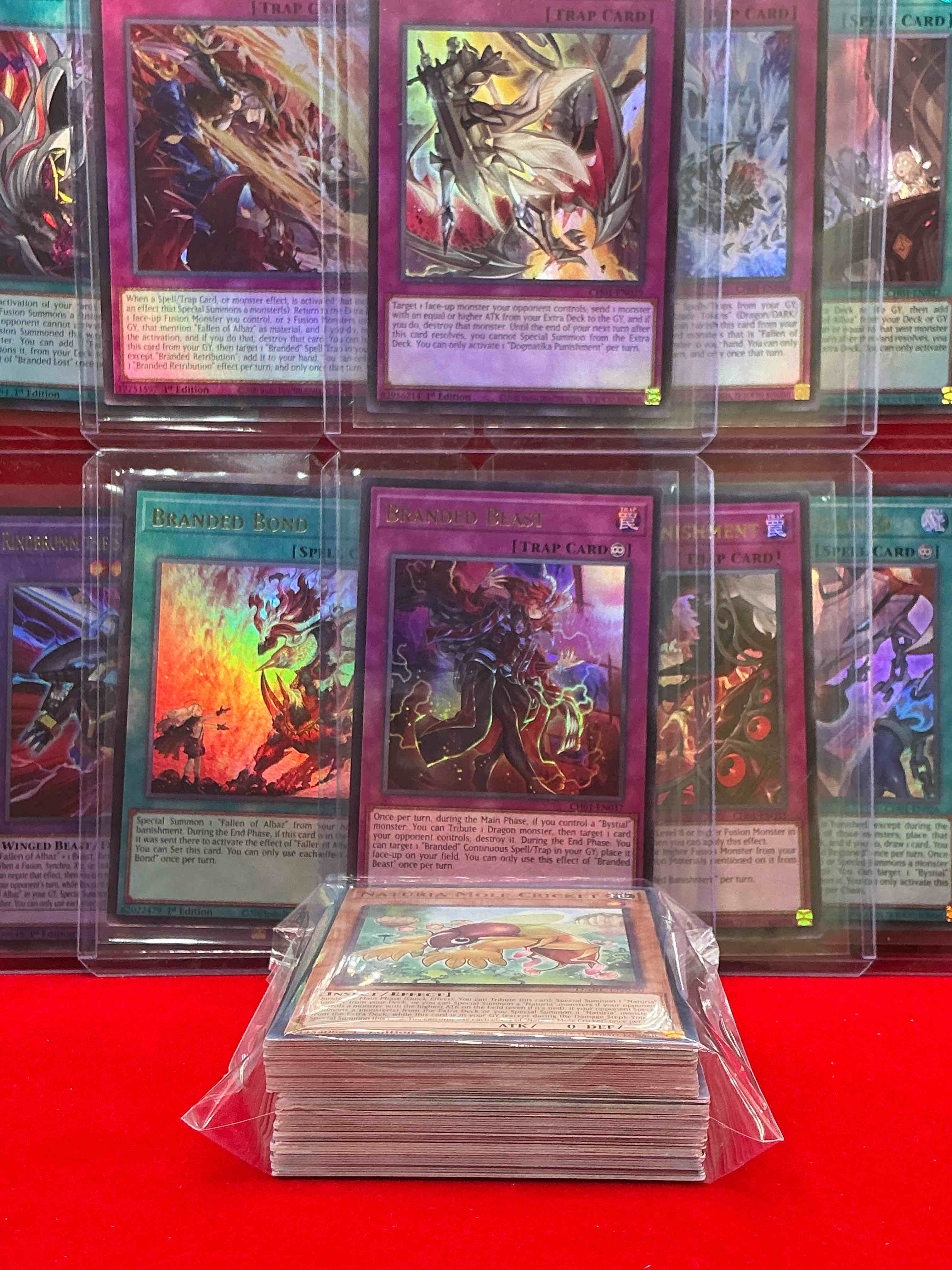 Condition photo showing New/Like New for magic the gathering 50 card lot! lot includes 10 rare or holo foil cards! all cards in excellent shape condition! a great way to join the mtg craze!