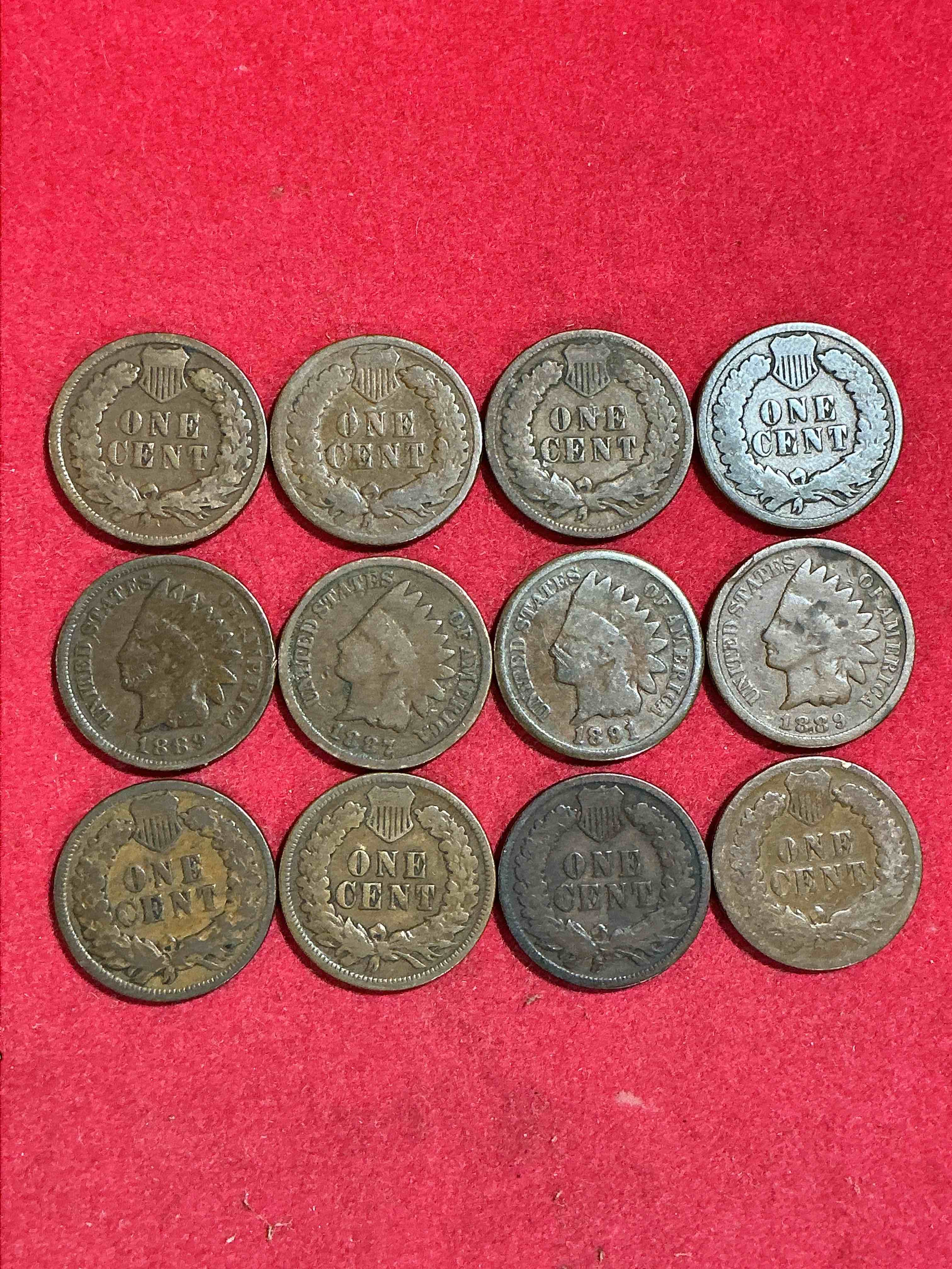 Indian Head Pennies! These Gorgeous U.S. Pennies Were Minted From 1859-1909 & Have Become Serious Collector Items! The "Indian Head" Design Is Actually A Representation Of Lady Liberty Wearing An Indian Headdress. Here Are Beautiful, Well-Kept Examples Representing Many Different Mint Years! Great For Collecting, Investing & Learning History, & Rare With Visible Dates!