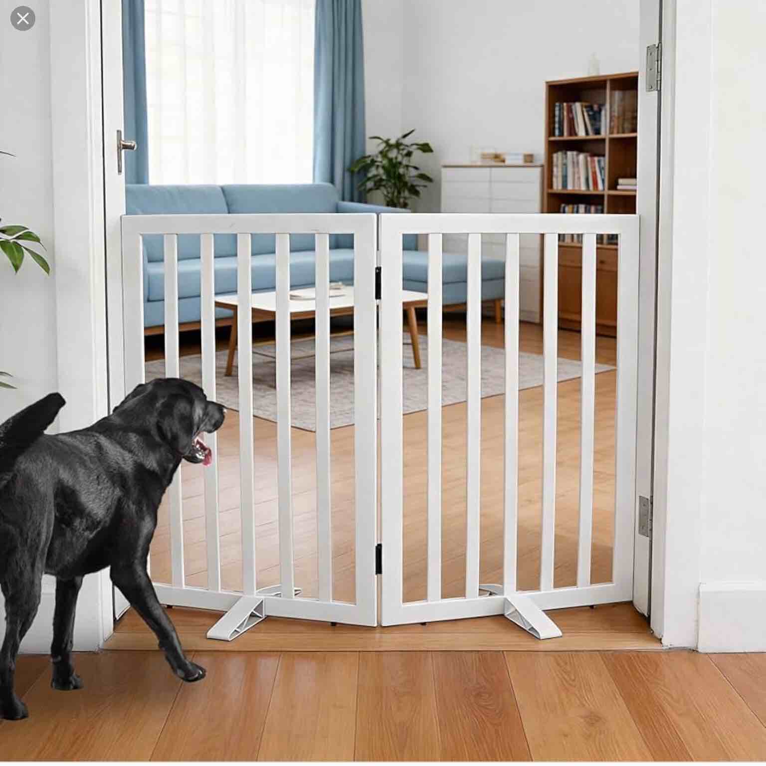Dog Gate