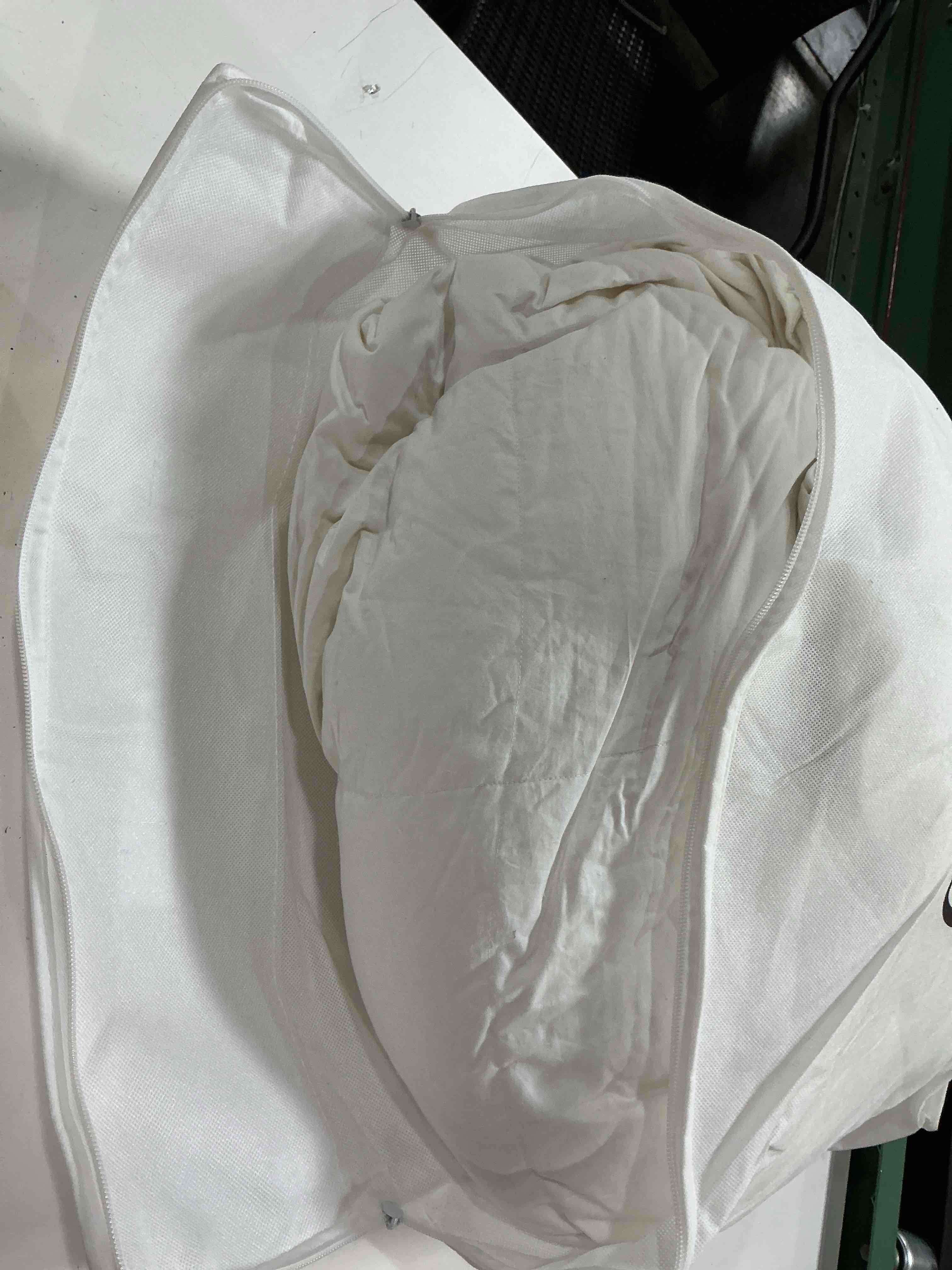 Condition photo showing As Is for quince premium down duvet insert white