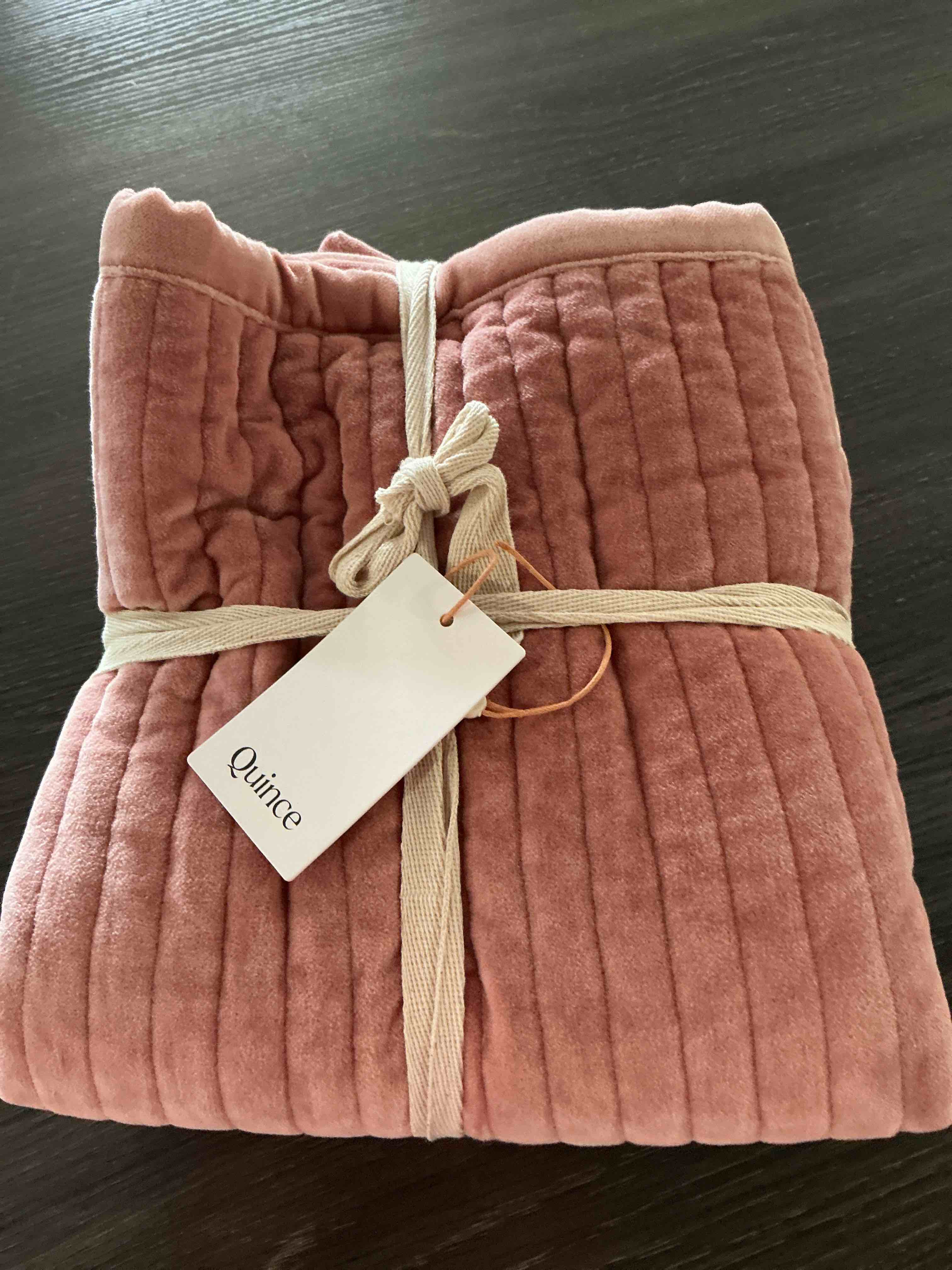 Condition photo showing As Is for quince pillow shams