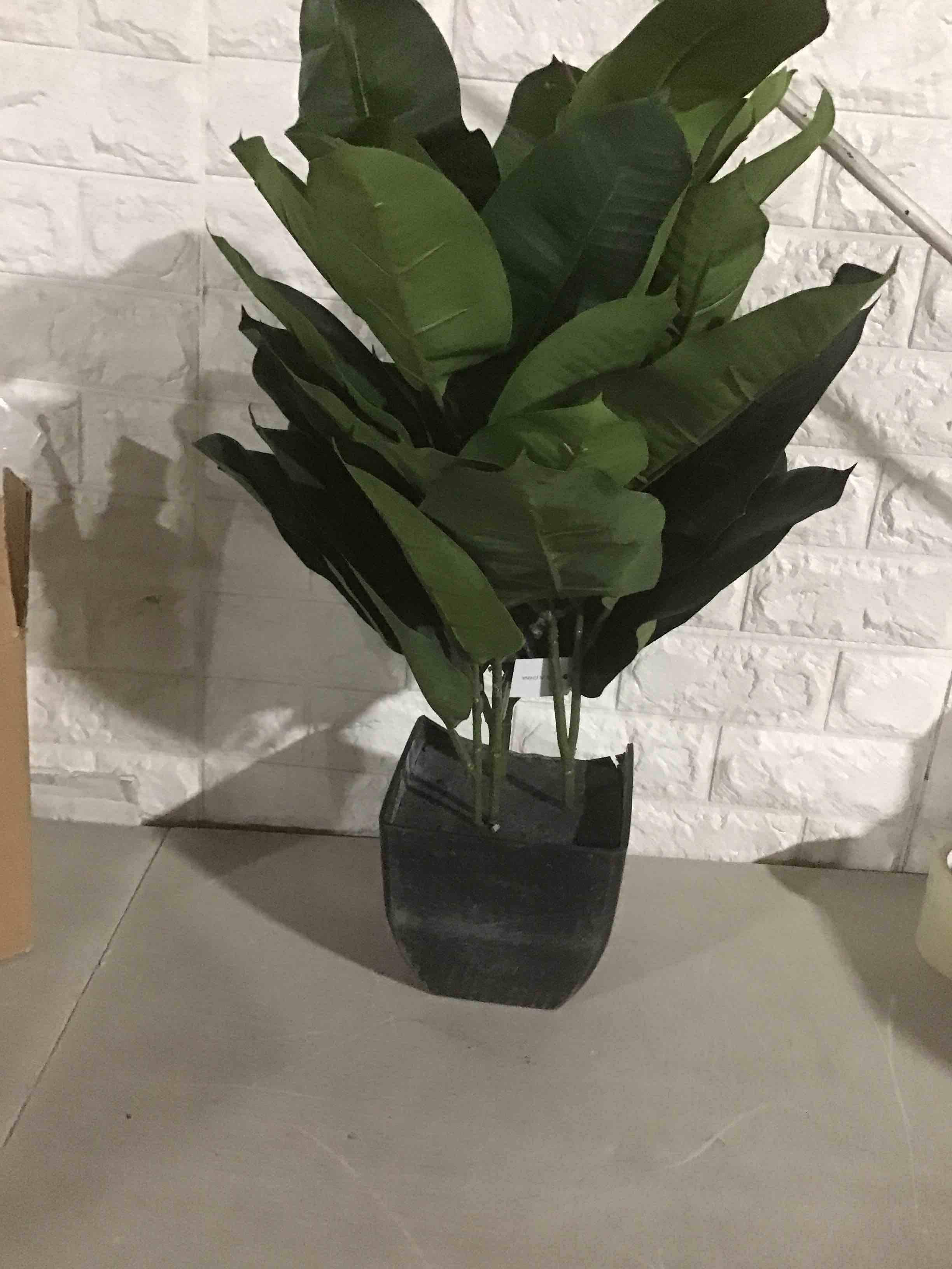https://s3.amazonaws.com/lotting-images-prod/bidfta/YEL3303352_1700486683996.jpeg
