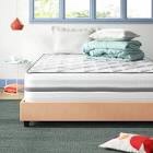 wayfair sleep 14” mattress full/Queen