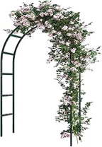 garden arch, green (unknown size)