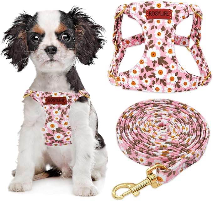 No Pull Dog Harness Adjustable Small pet Harness and Leash Set, Lightweight and Soft Dog Harness No Choke Escape Proof Pet Harness Vest (Pink Daisy, Medium)