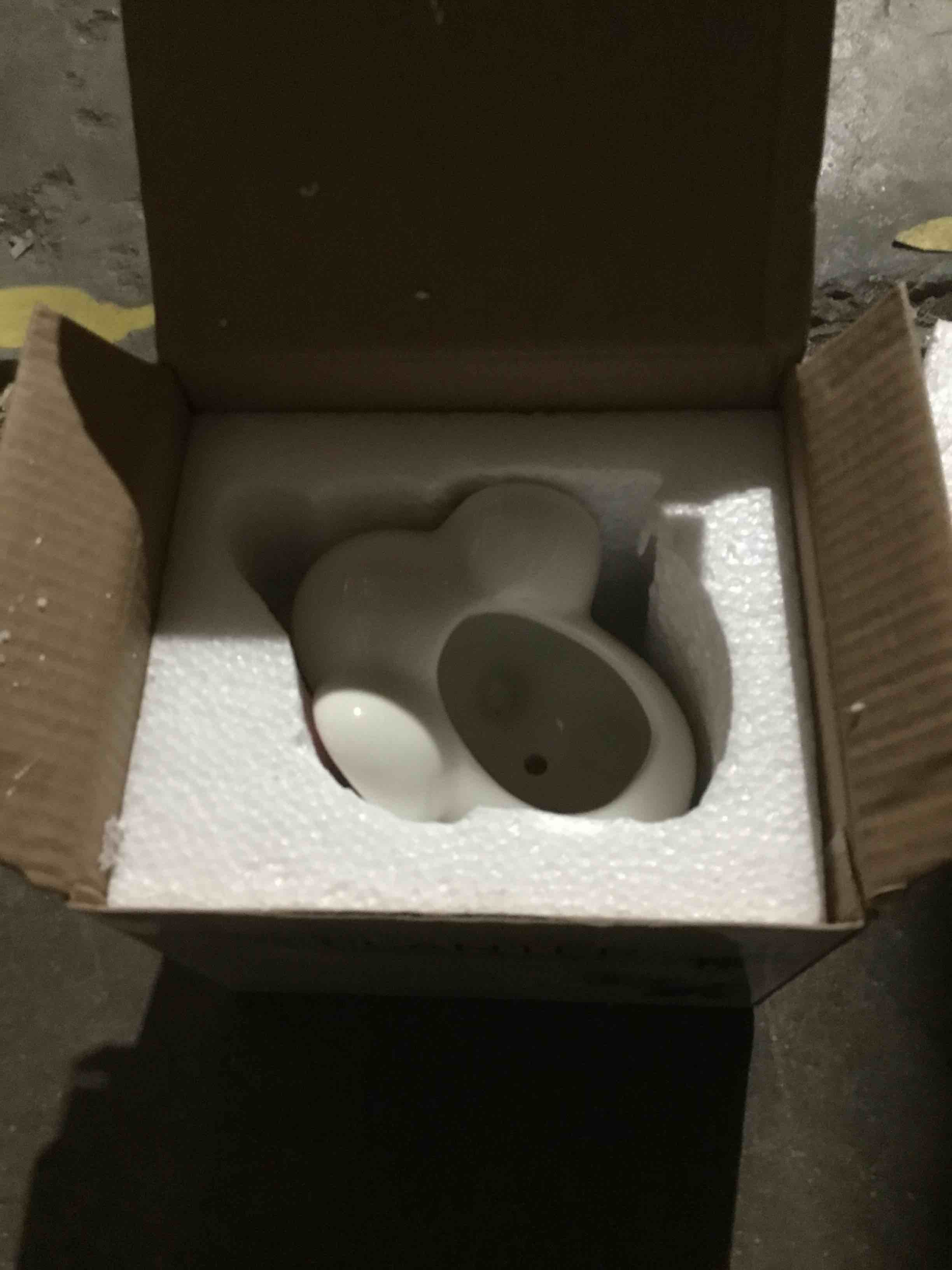 matty’s garden koala succulent planter