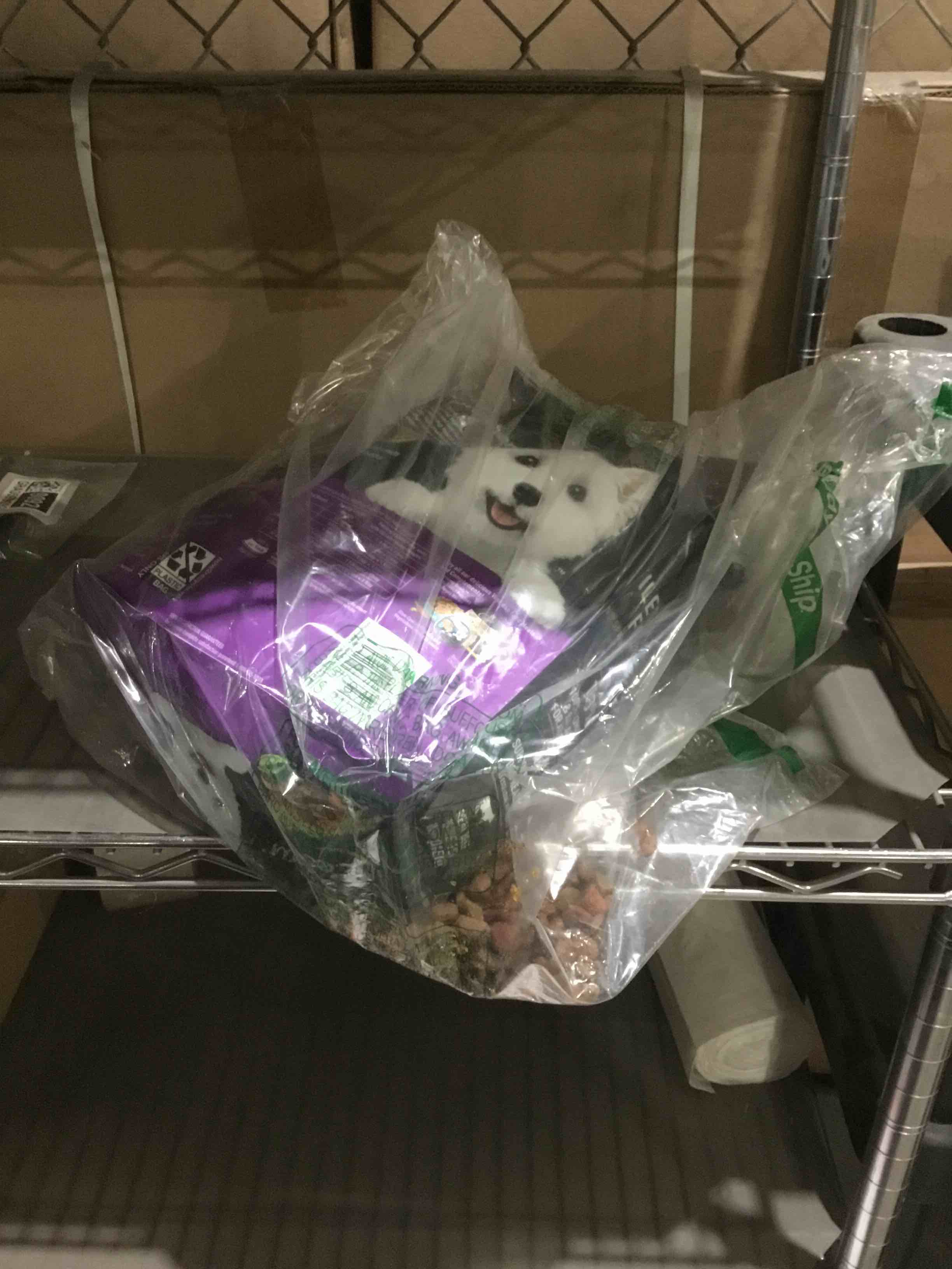 Condition photo showing As Is for Cesar Small Breed Dry Dog Food for Small Dogs, Filet Mignon Flavor and Spring Vegetables Garnish, 5 lb Bag