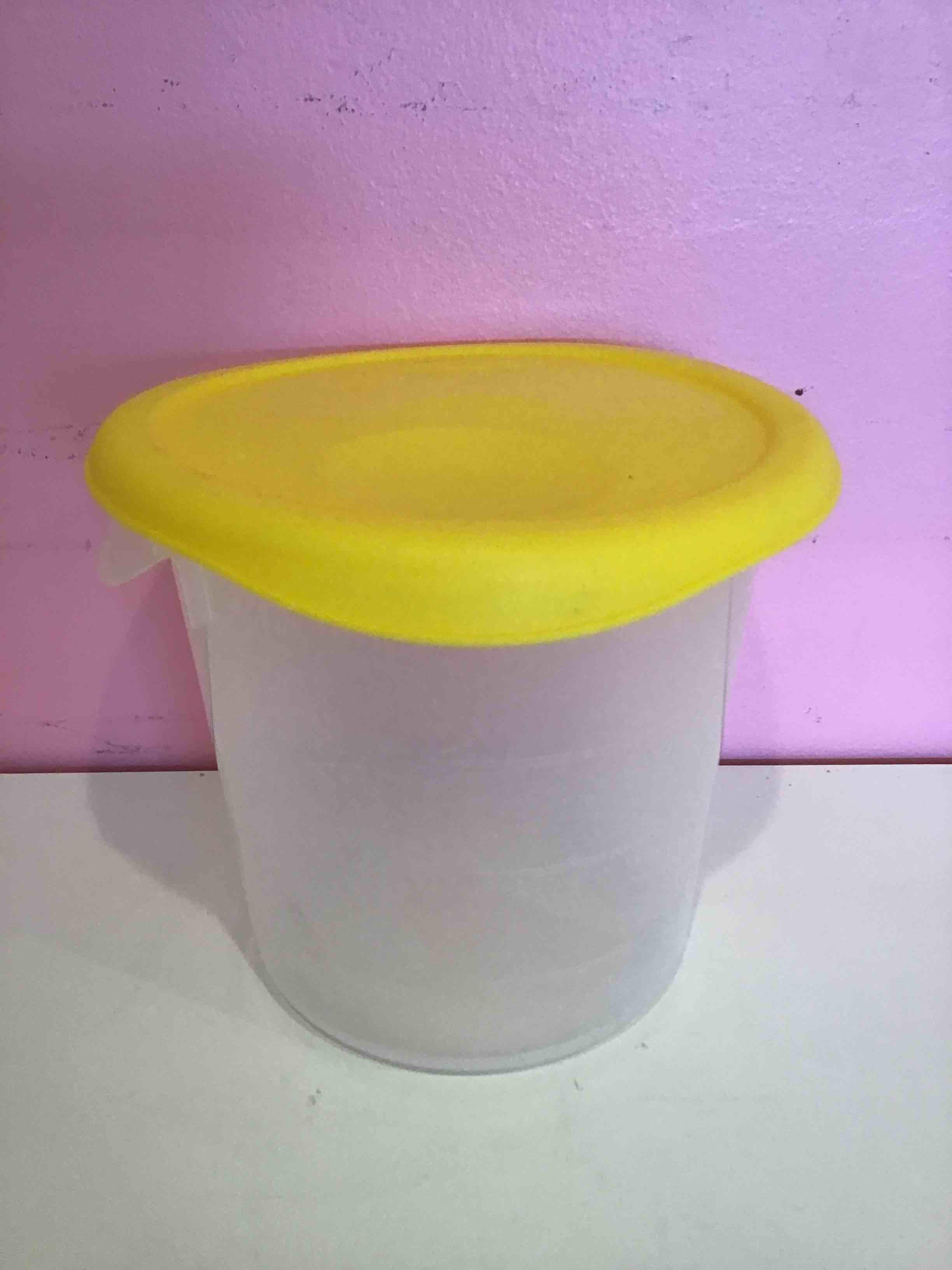 Rubbermaid 4 QT Plastic Storage Container with Lid