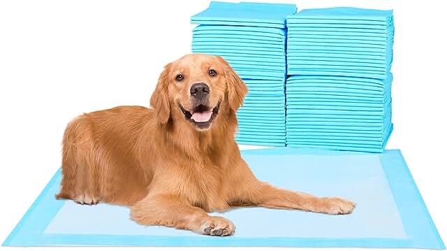 Solimo Super Absorbant Large Unscented 100 Count Puppy Pads