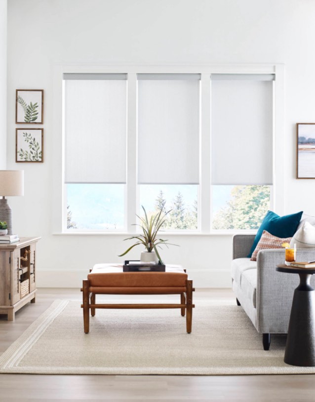 Allen and Roth Smart Motorized Cellular Shade White 29 Inch x 72 inch Control With Smartphone App 