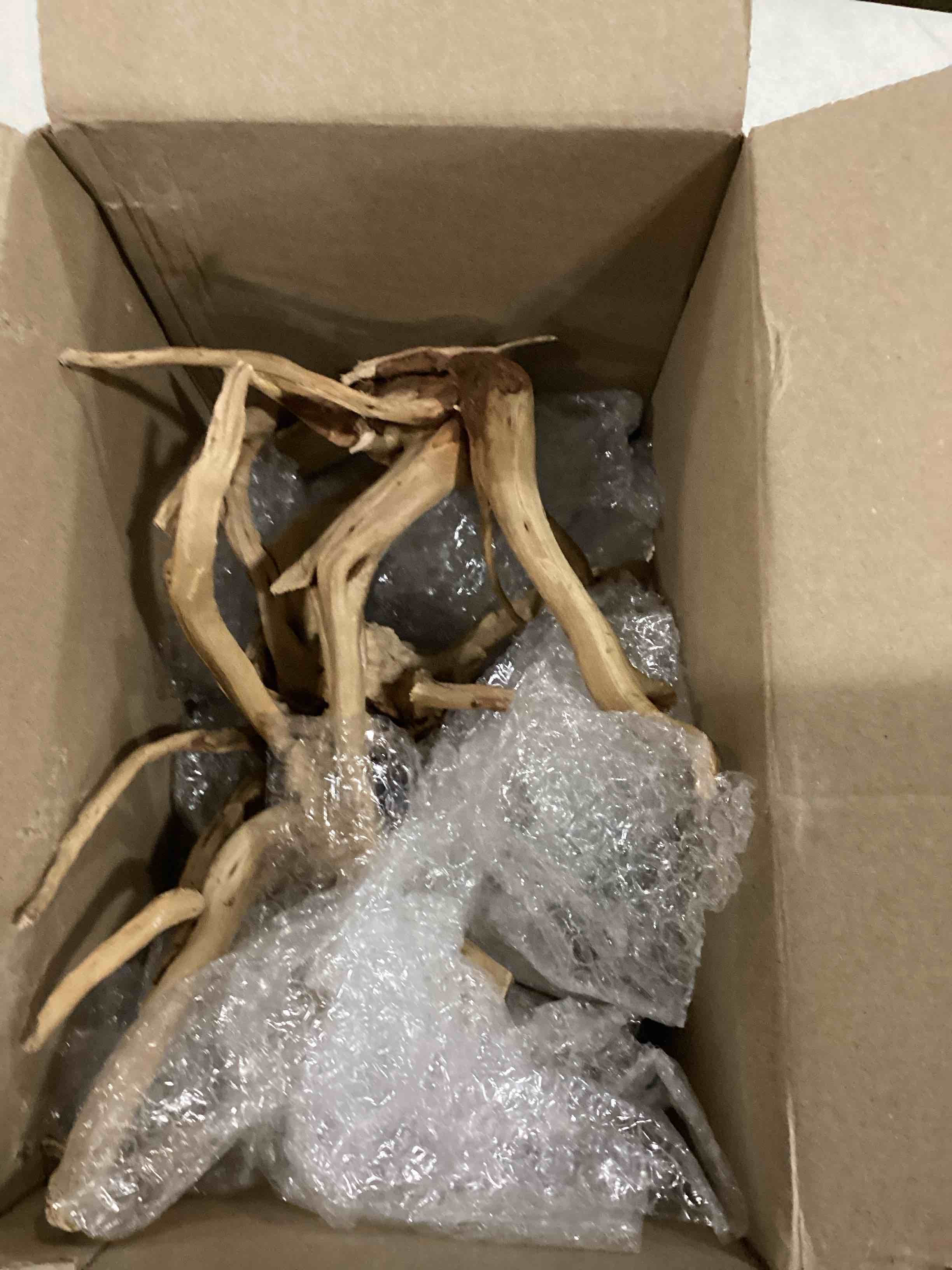 https://s3.amazonaws.com/lotting-images-prod/bidfta/YEL4081853_1709661971569.jpeg