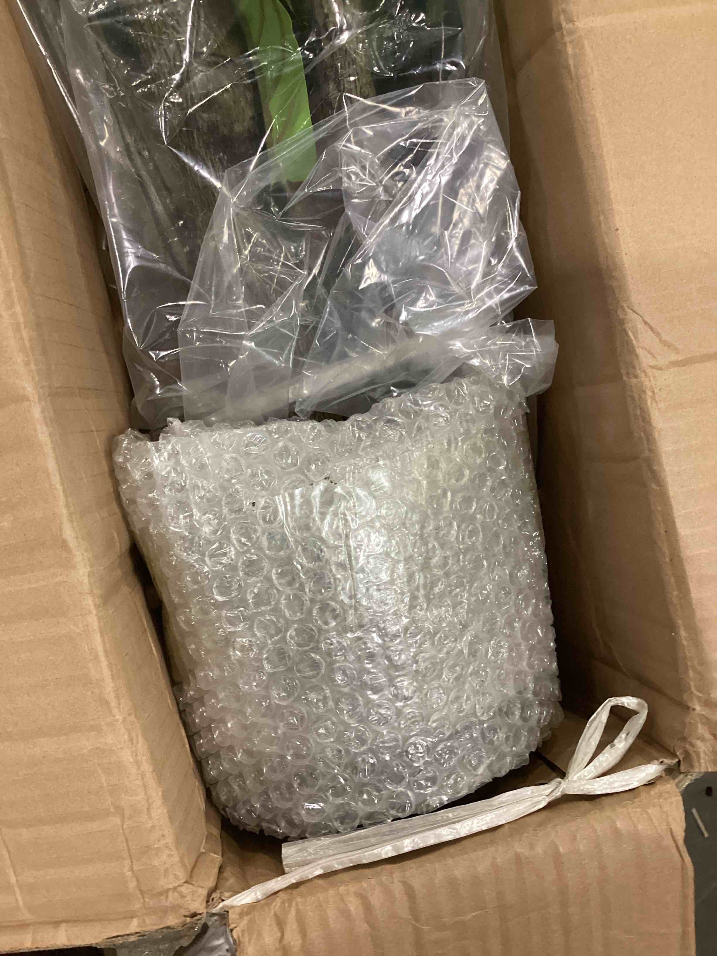 https://s3.amazonaws.com/lotting-images-prod/bidfta/YEL4082484_1710514640204.jpeg