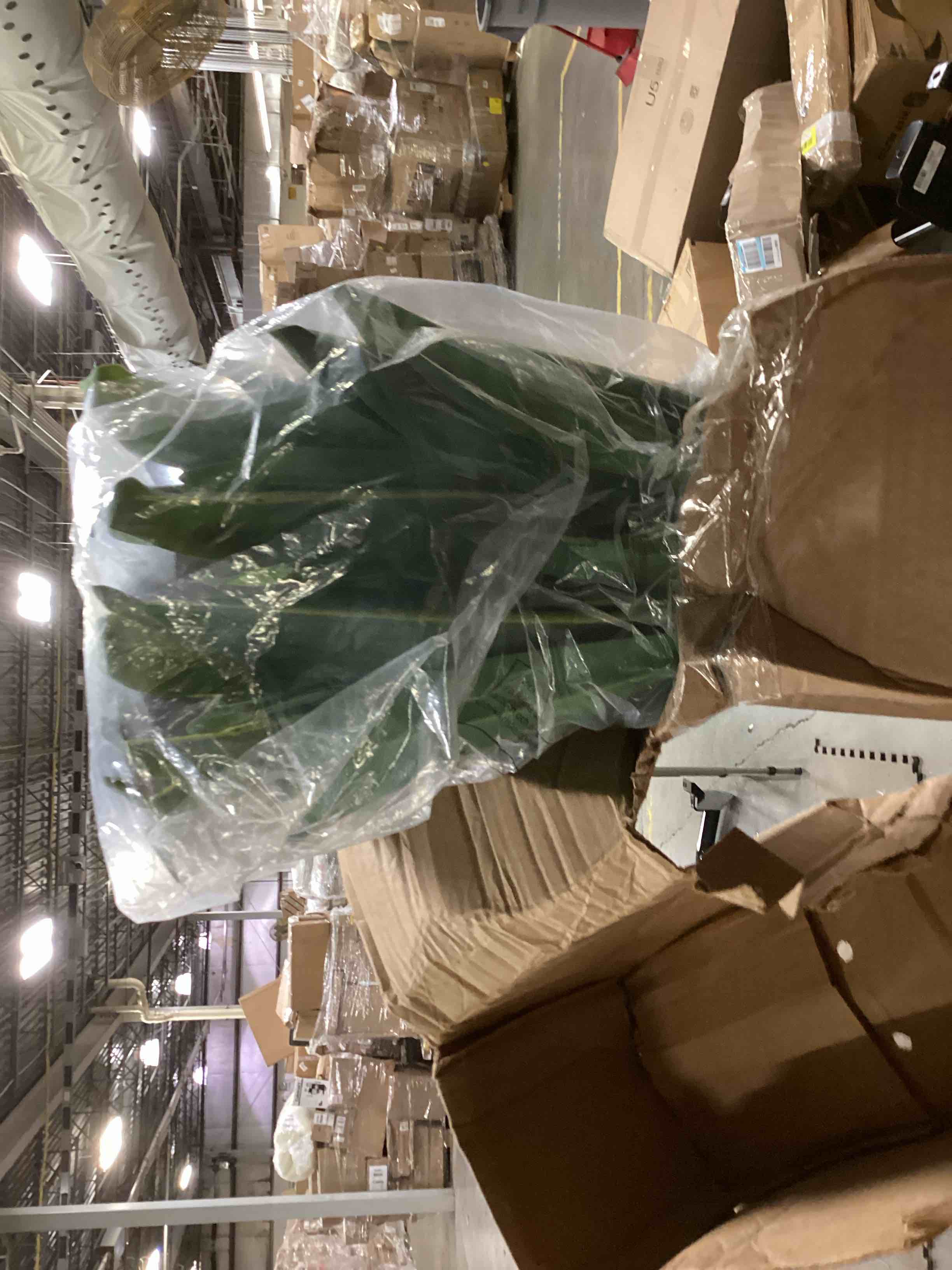 https://s3.amazonaws.com/lotting-images-prod/bidfta/YEL4084033_1710348558284.jpeg