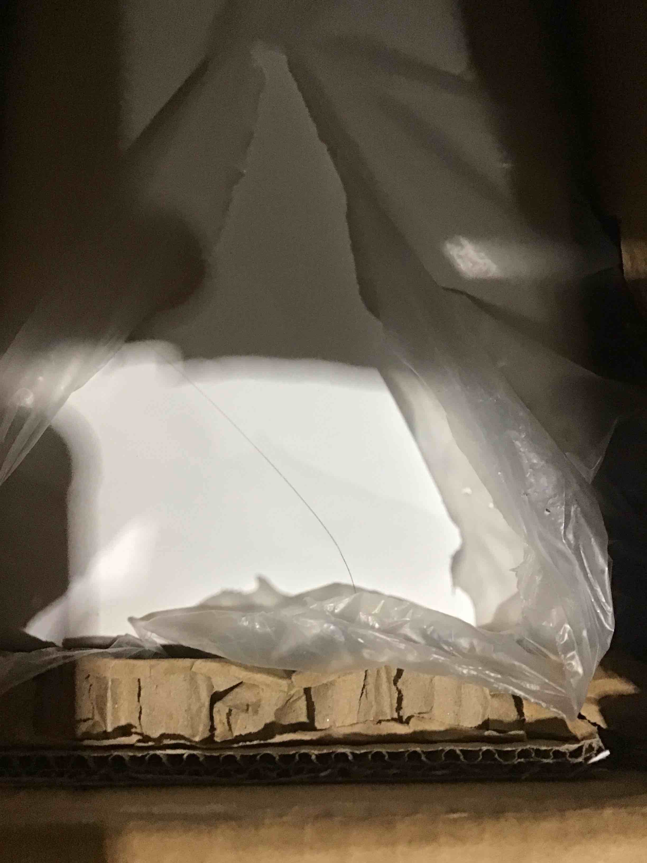 https://s3.amazonaws.com/lotting-images-prod/bidfta/YEL4141291_1707407159850.jpeg