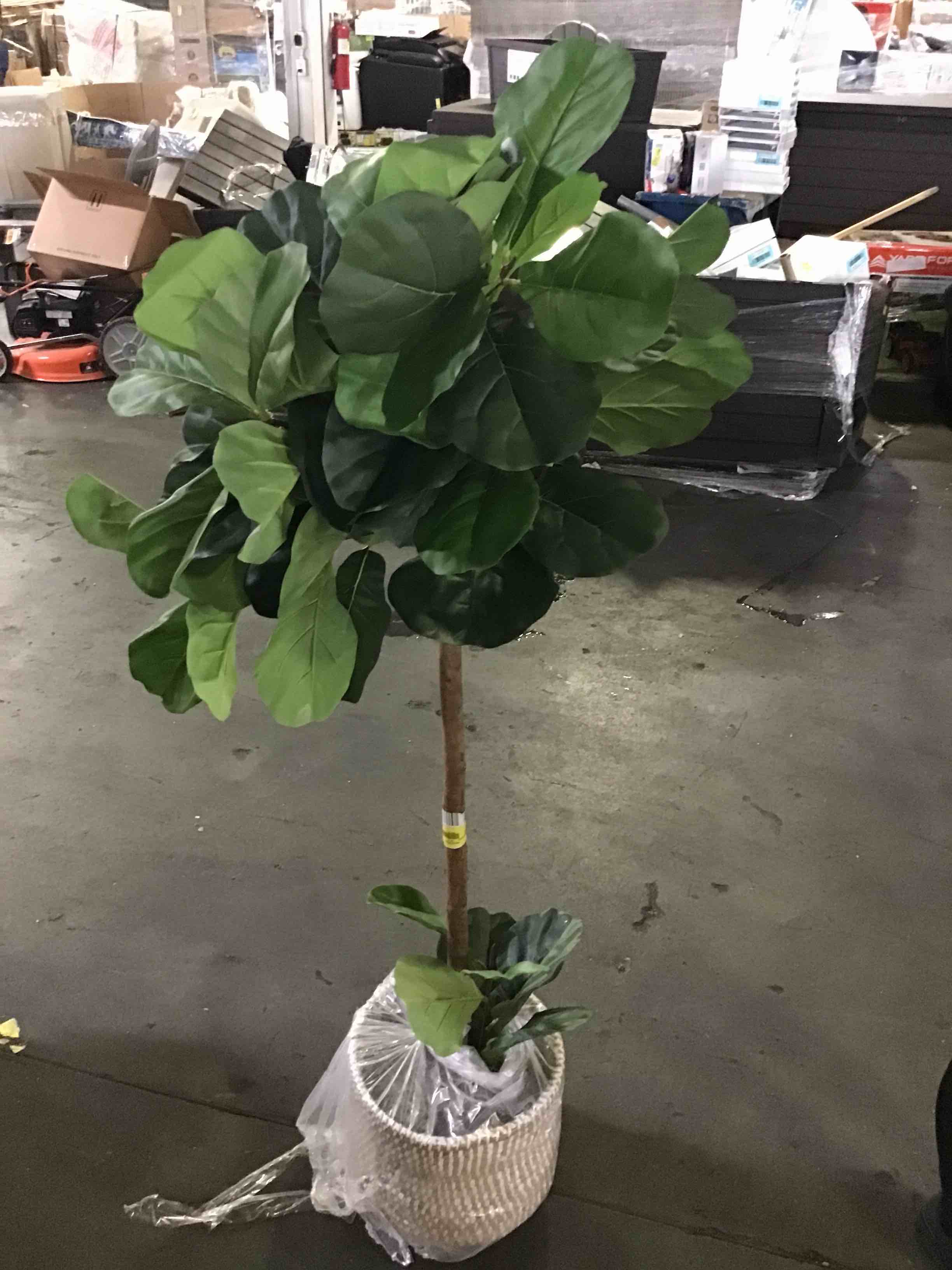 https://s3.amazonaws.com/lotting-images-prod/bidfta/YEL4161134_1687449134622.jpeg