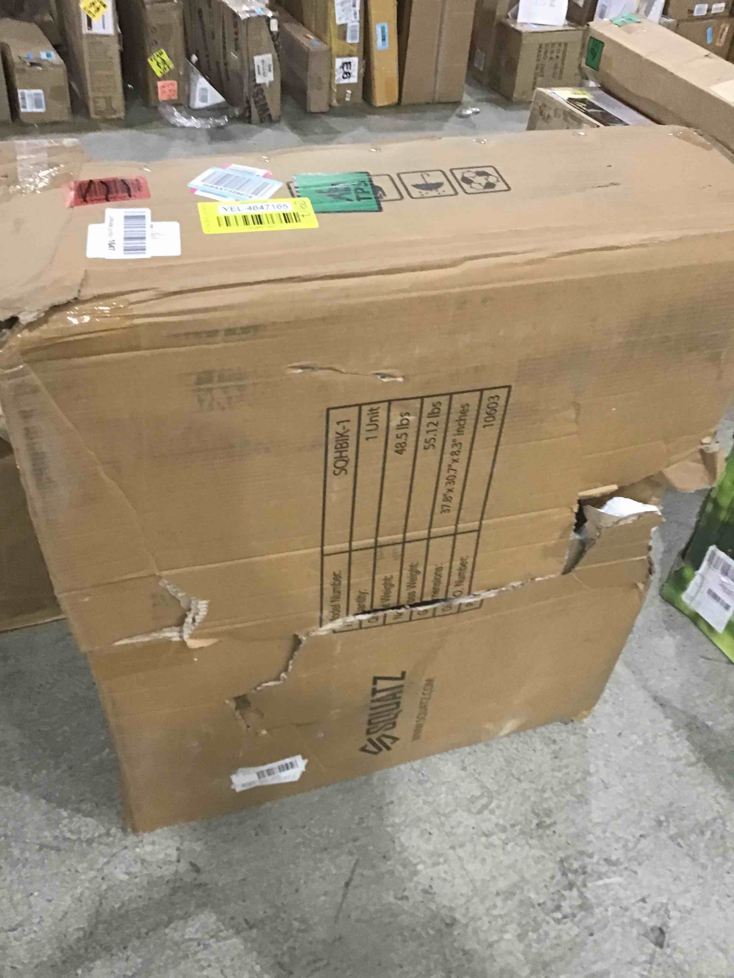 https://s3.amazonaws.com/lotting-images-prod/bidfta/YEL4647165_1703265983792.jpeg