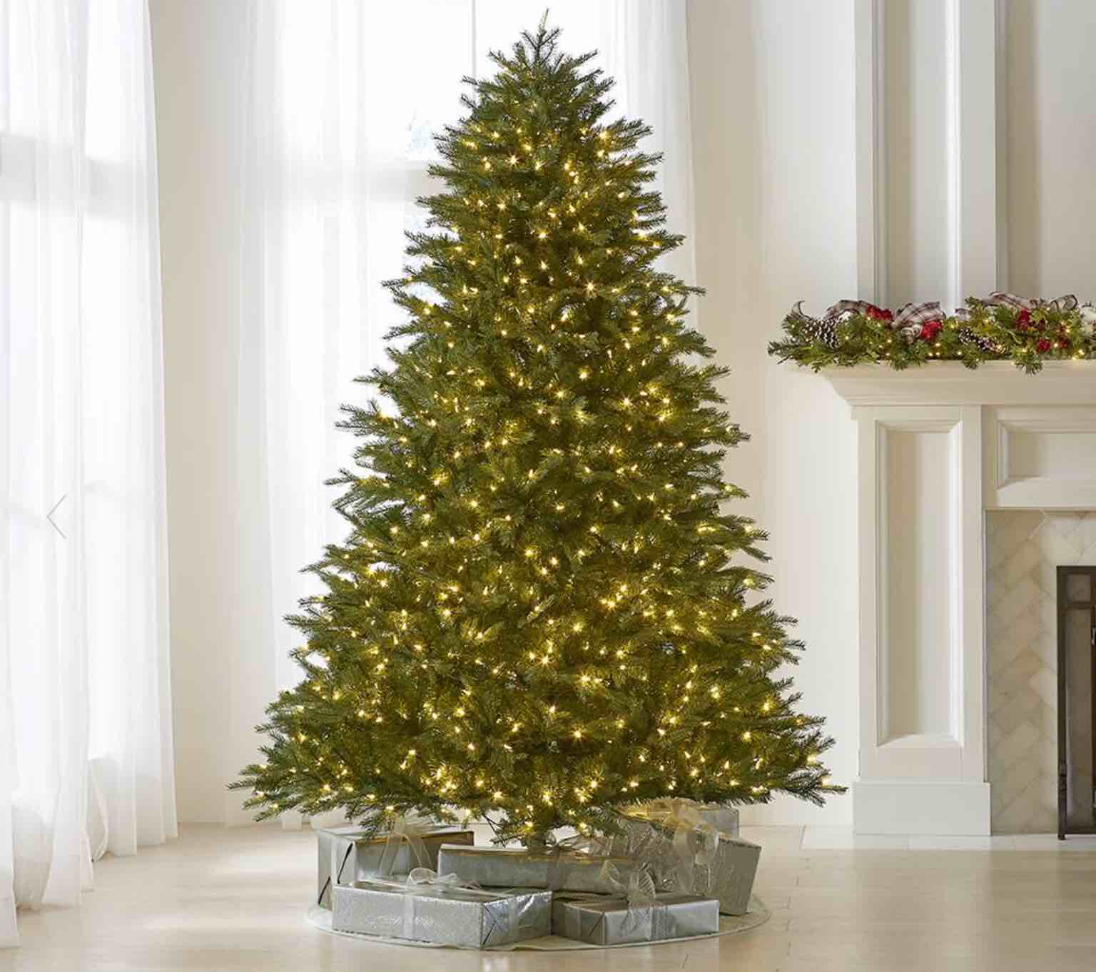 The World's Best Prelit Concolor Fir
