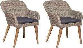 Vidaxl 44156.a x2 rattan wd egg outdoor chairs set of 2 