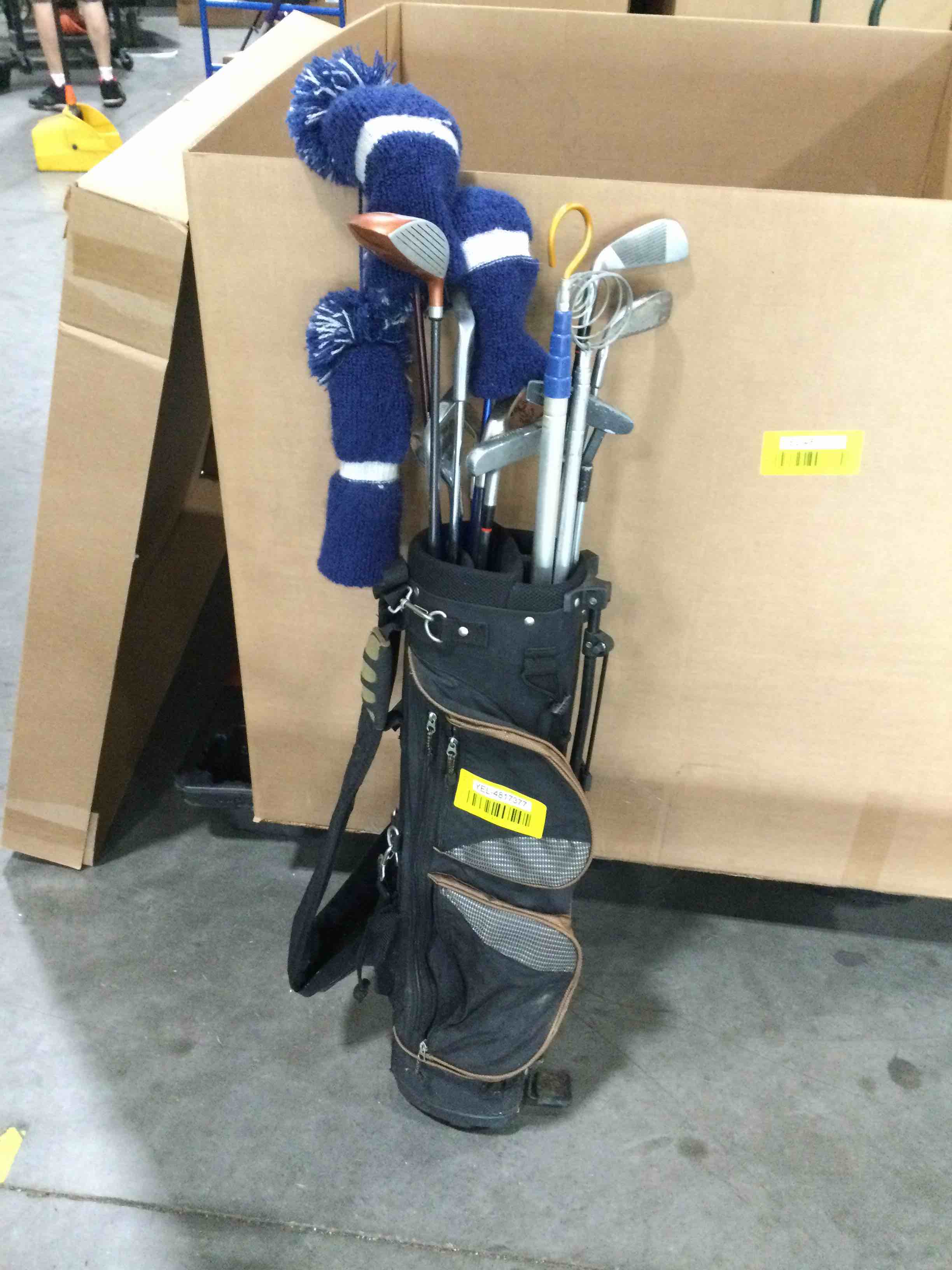 Misc Golf Clubs and Bag 