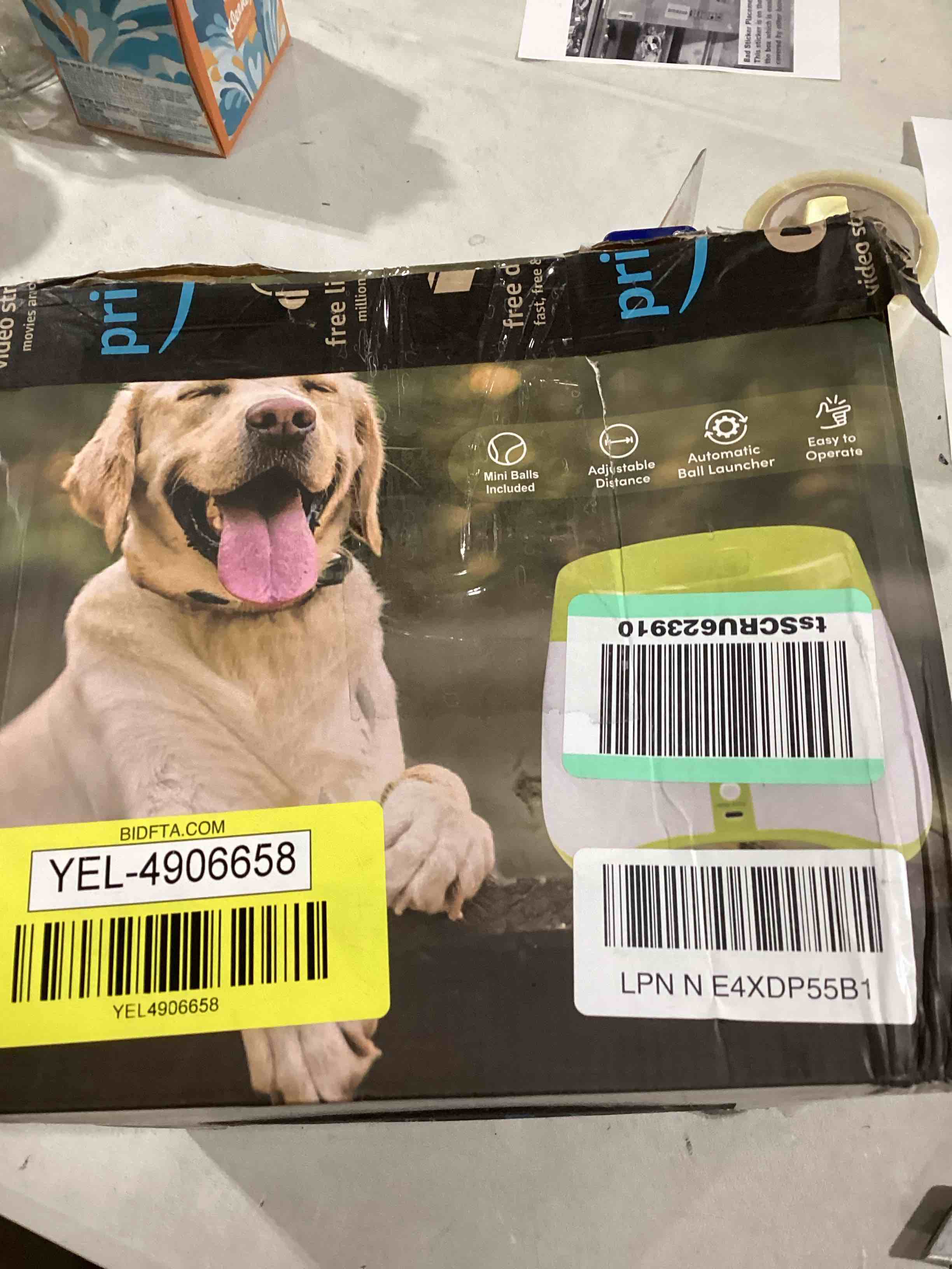 https://s3.amazonaws.com/lotting-images-prod/bidfta/YEL4906658_1729684446817.jpeg