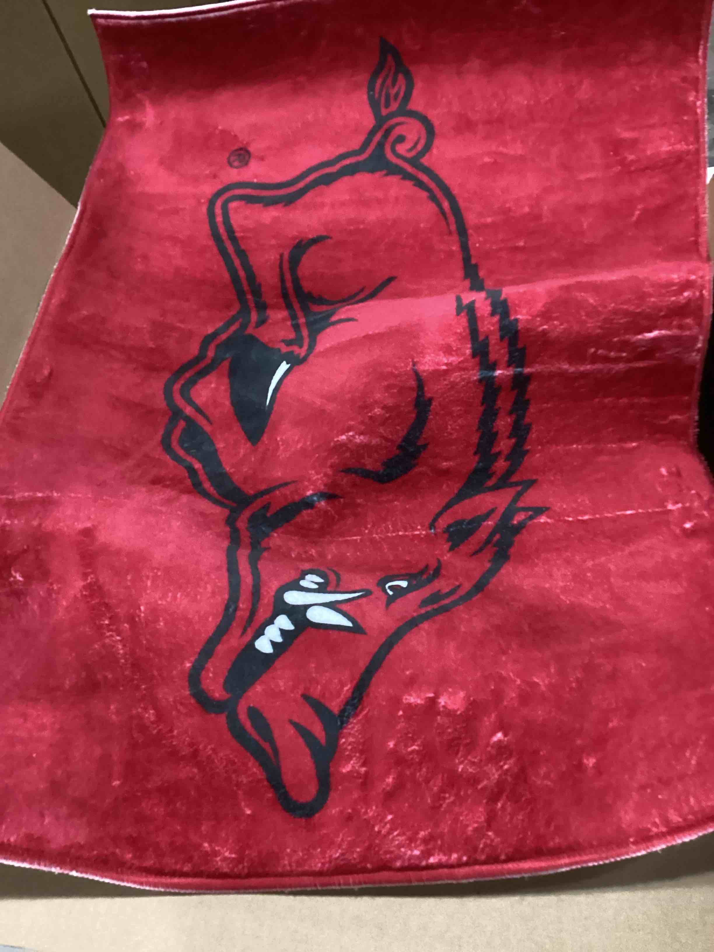 Fanmats NCAA UnisexAdult Starter Mat Arkansas Razorbacks 19"x30" Team