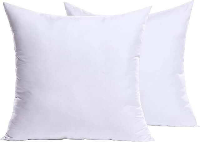 MIULEE Set of 2 Throw Pillow Inserts Premium Pillow Stuffer Square Form for Decorative Cushion Bed Couch Sofa 18x18 Inch