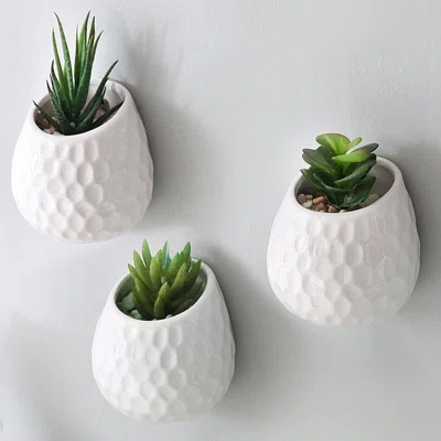 3 Piece Ceramic Wall Planter Set