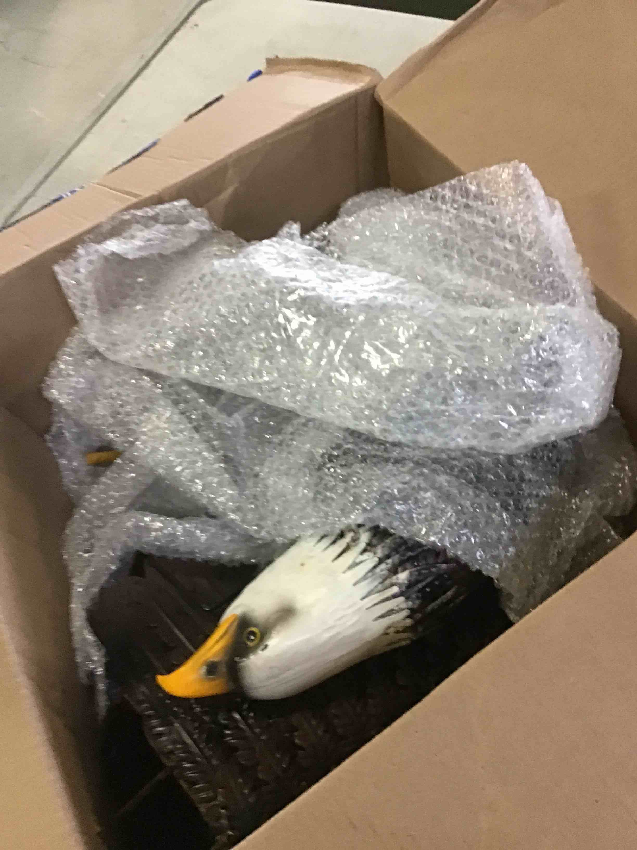 https://s3.amazonaws.com/lotting-images-prod/bidfta/YEL4990070_1695068183672.jpeg