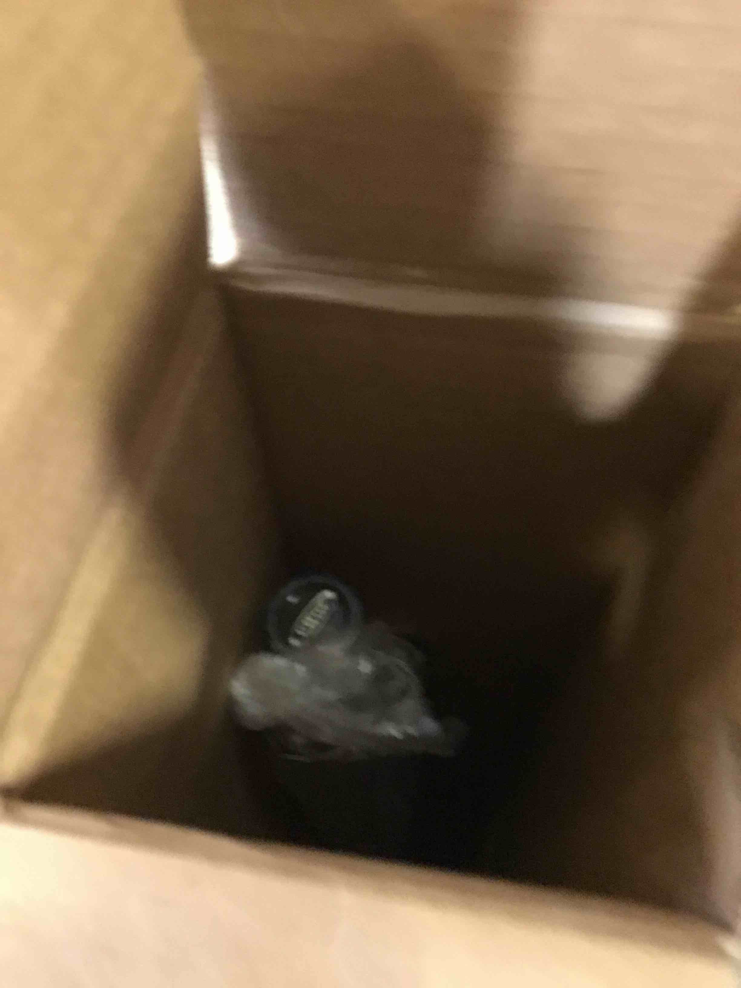 https://s3.amazonaws.com/lotting-images-prod/bidfta/YEL4998211_1695312149200.jpeg