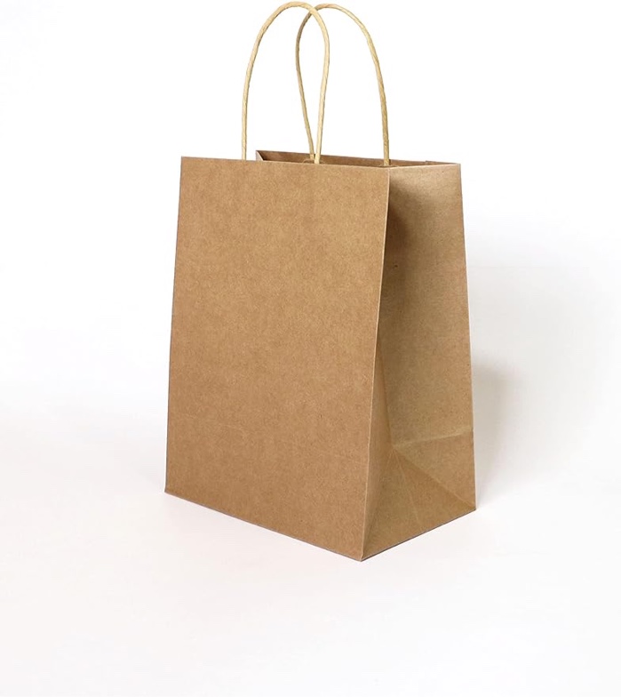 QBQBAG Kraft paper bag with handle 8x5x10 inches Gift bags Shopping bags 100 PCS? Birthday, Party, Retail bags?Grocery? Shopping, Gifts, Business, Retail, Parties, Take Out paper bags(Brown